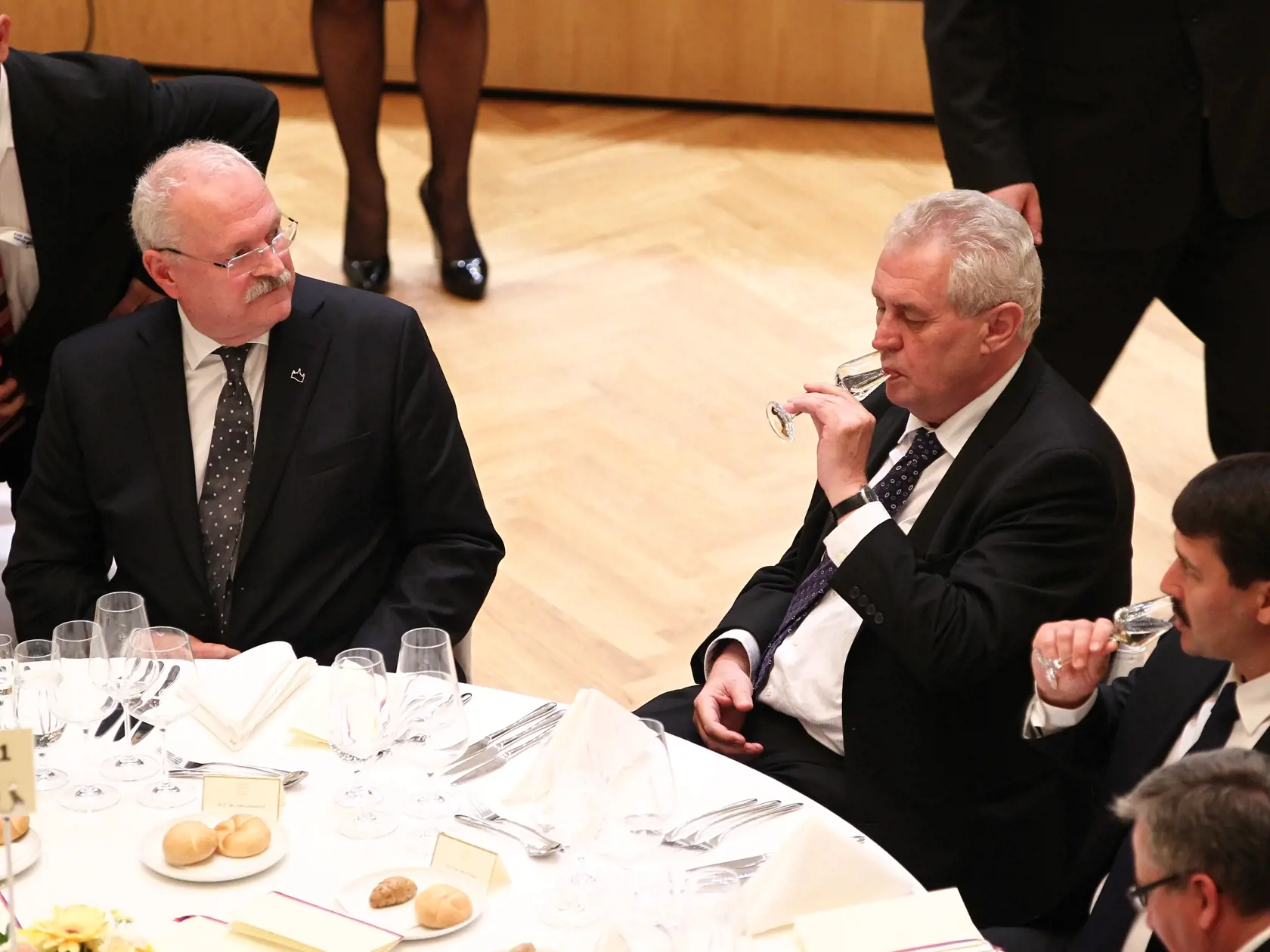 Summit 18 hlav statov strednej europy
slavnostna vecera pripitok a koncert v redute