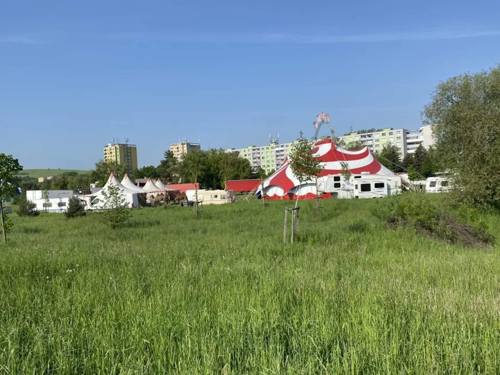 Ešte v piatok večer vystupovali, v sobotu skoro ráno im niekto podpálil majetok. Cirkus Francesko Jung informuje, že im okolo 5:00 niekto v Prešove zapálil seno, ktoré mali naložené na návese.Okrem sena zhorelo aj auto, ako aj generátor, ktorý potrebujú na miestach, kde sa nedokážu pripojiť k elektrine.