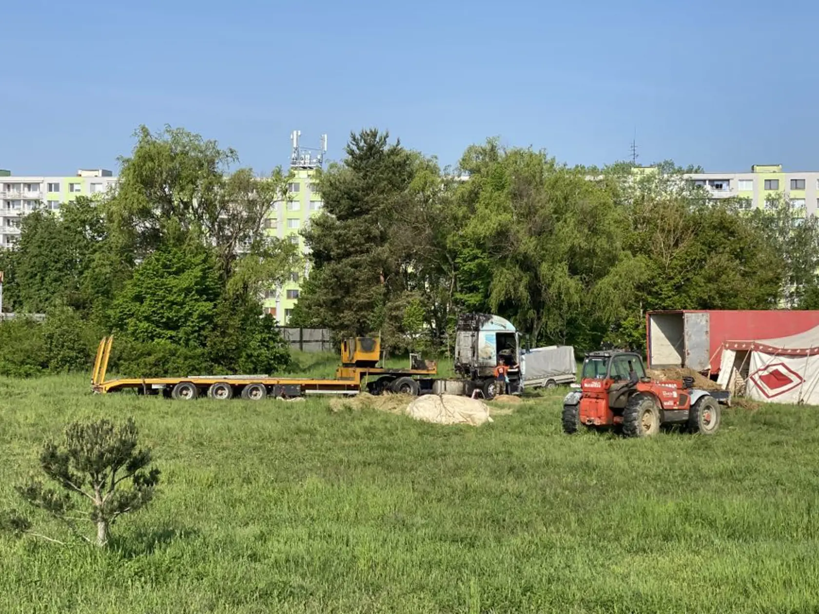 Ešte v piatok večer vystupovali, v sobotu skoro ráno im niekto podpálil majetok. Cirkus Francesko Jung informuje, že im okolo 5:00 niekto v Prešove zapálil seno, ktoré mali naložené na návese.Okrem sena zhorelo aj auto, ako aj generátor, ktorý potrebujú na miestach, kde sa nedokážu pripojiť k elektrine.