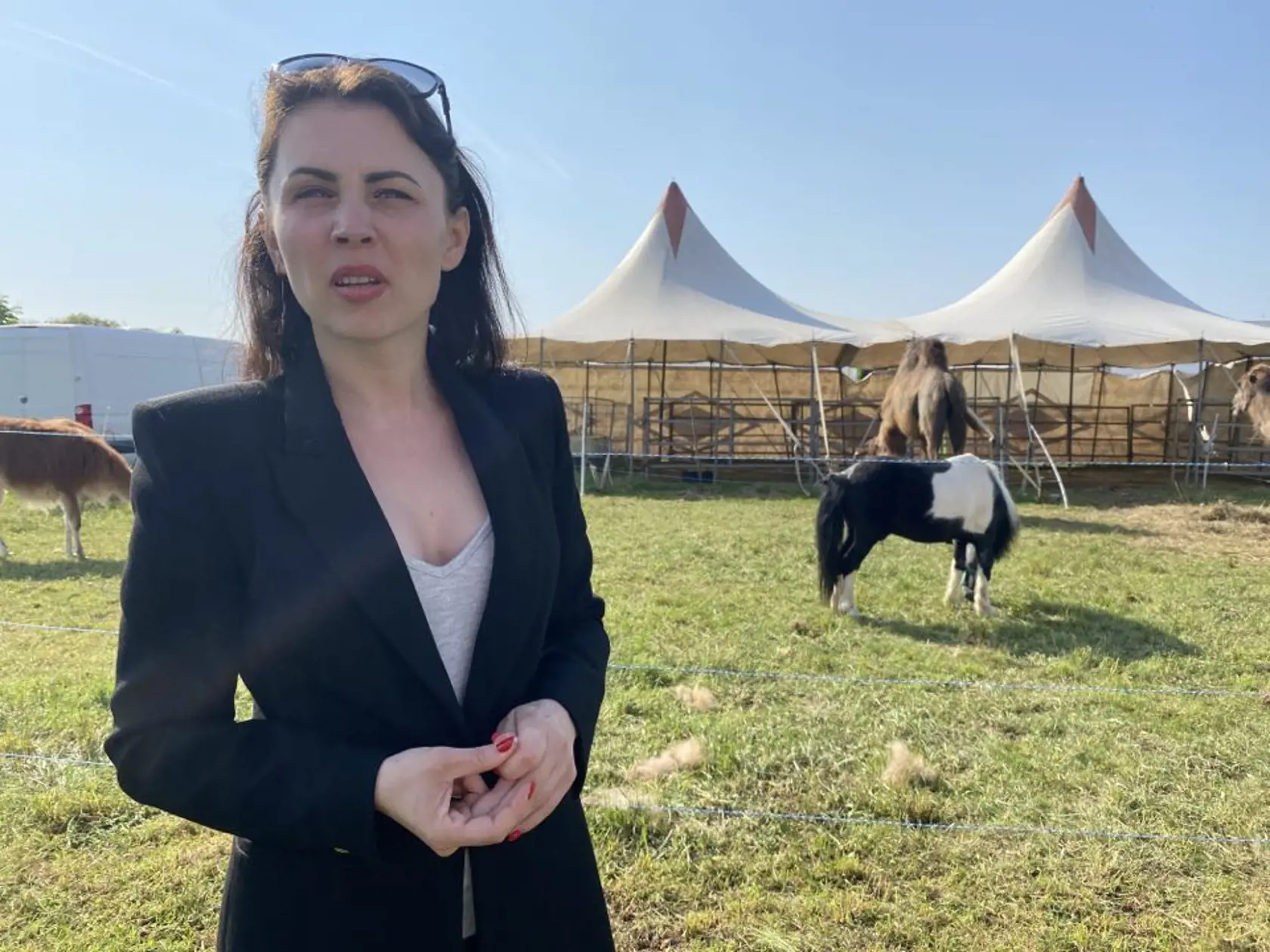 „Musíme si teraz nejak pomôcť a zabezpečiť nové auto a generátor. Bude to ťažké ale budeme pokračovať,“ hovorí riaditeľka. Prešovčanov prosia o pomoc.