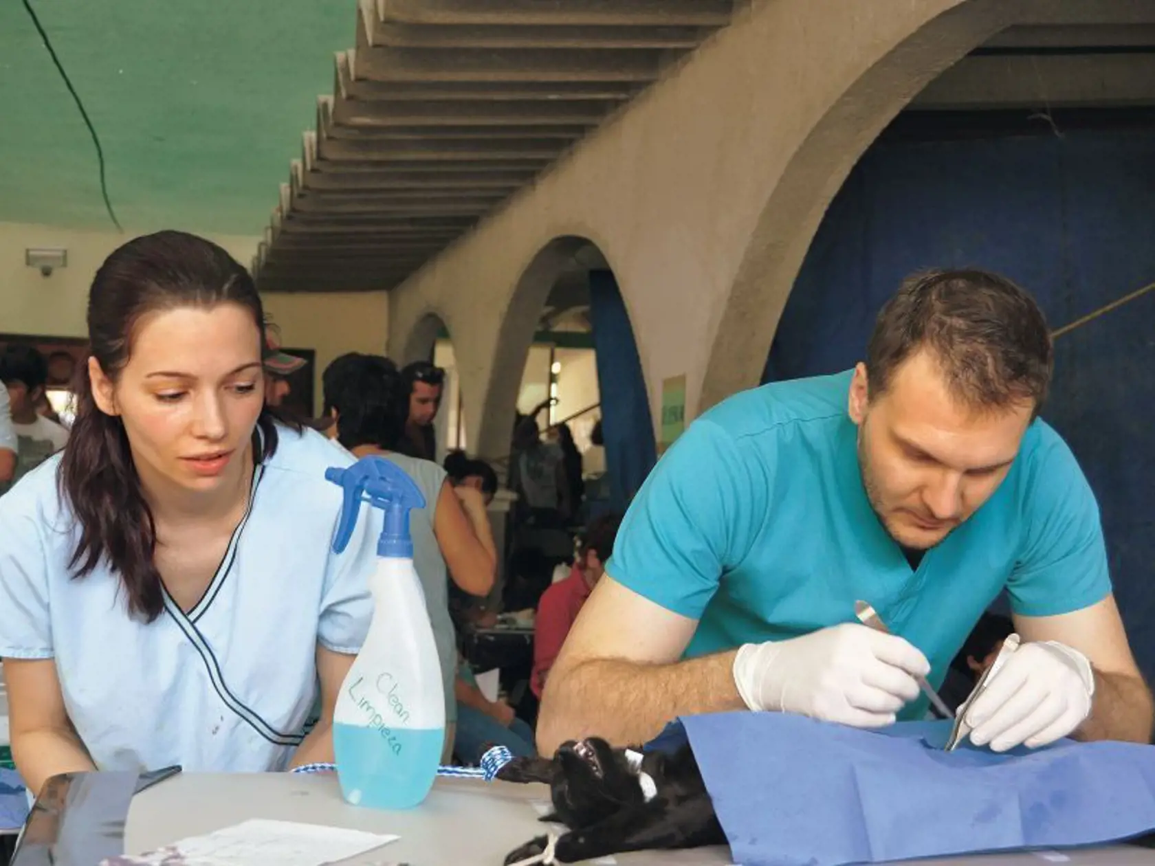 Na sterilizácii mexických pouličných psov