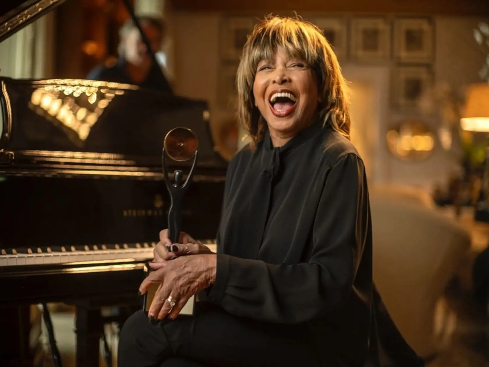 Speváčka Tina Turner