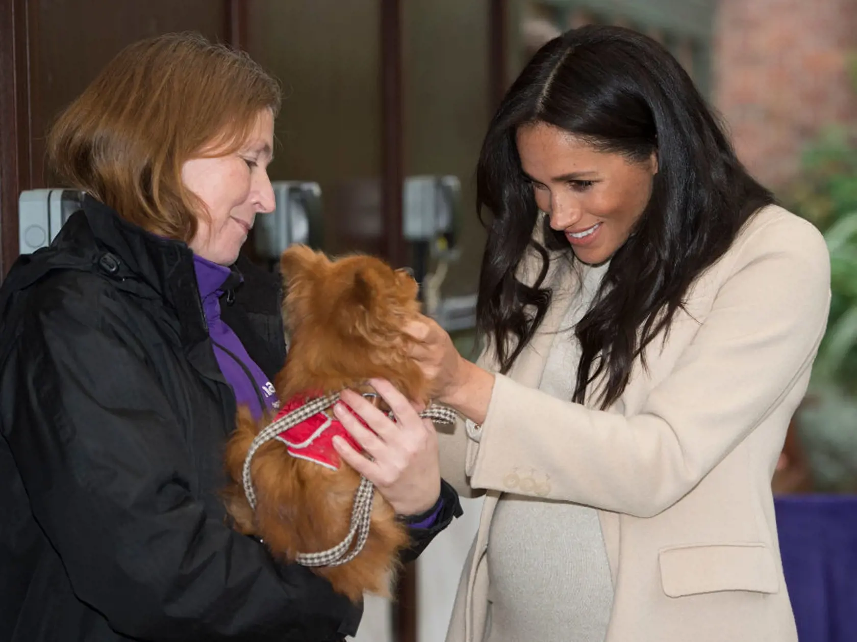 Meghan Markle
