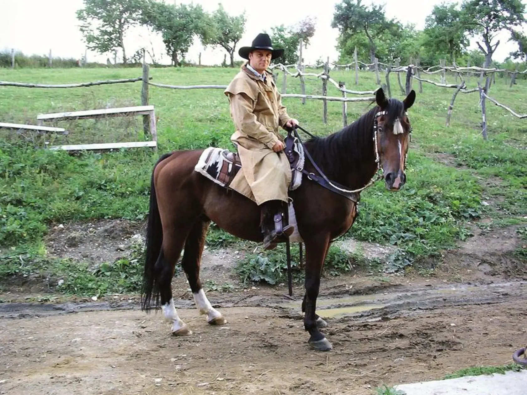 Allan Mikušek