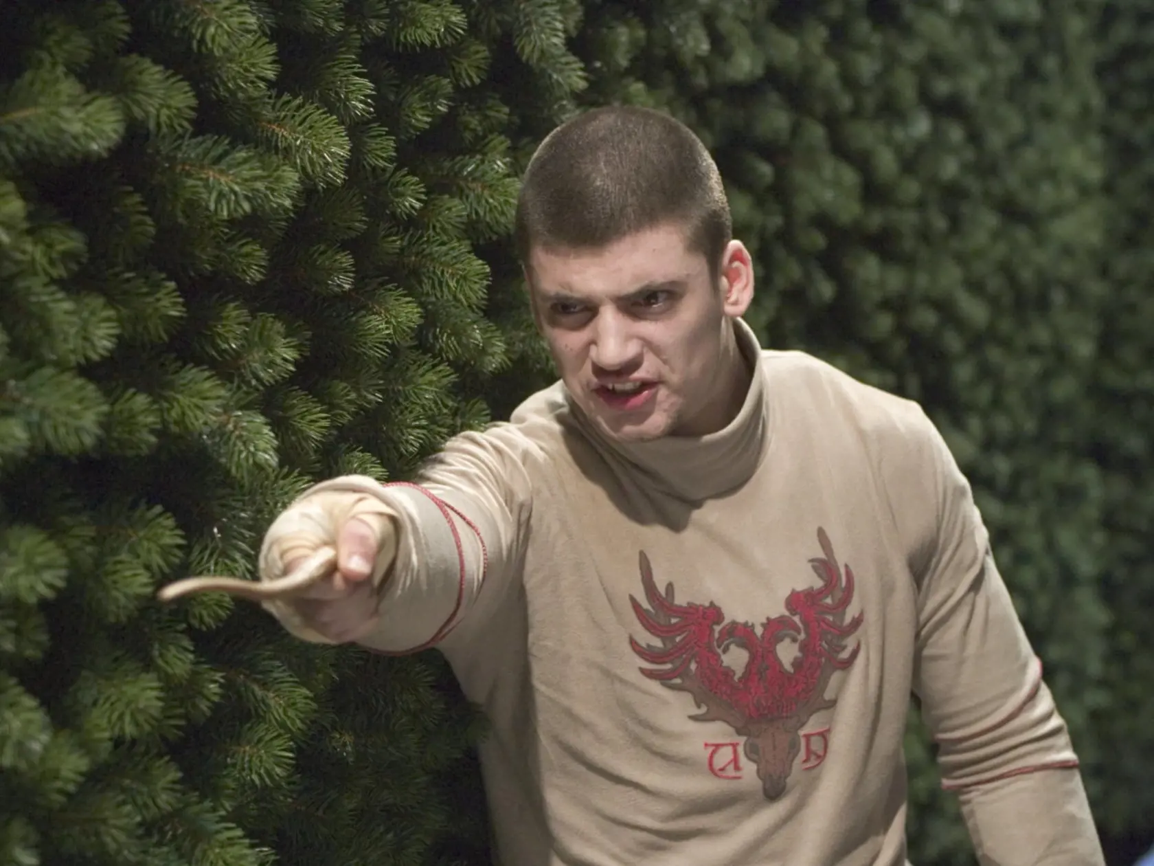 Stan Yanevski ako Viktor Krum v Harrym Potterovi.