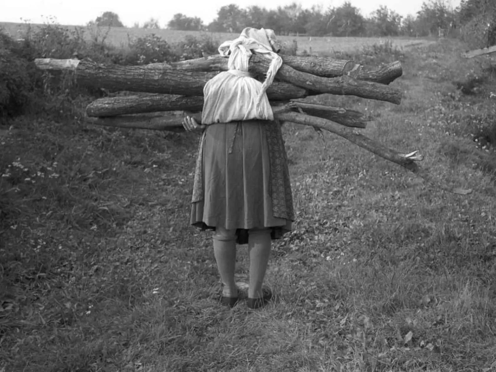 Takto sa pred mnohými rokmi transportovalo drevo z lesa domov. Obyvateľka obce Kašov v okrese  Trebišov, ktorú autor fotografie zachytil v roku 1976, napriek veku musela túto prácu zvládnuť.