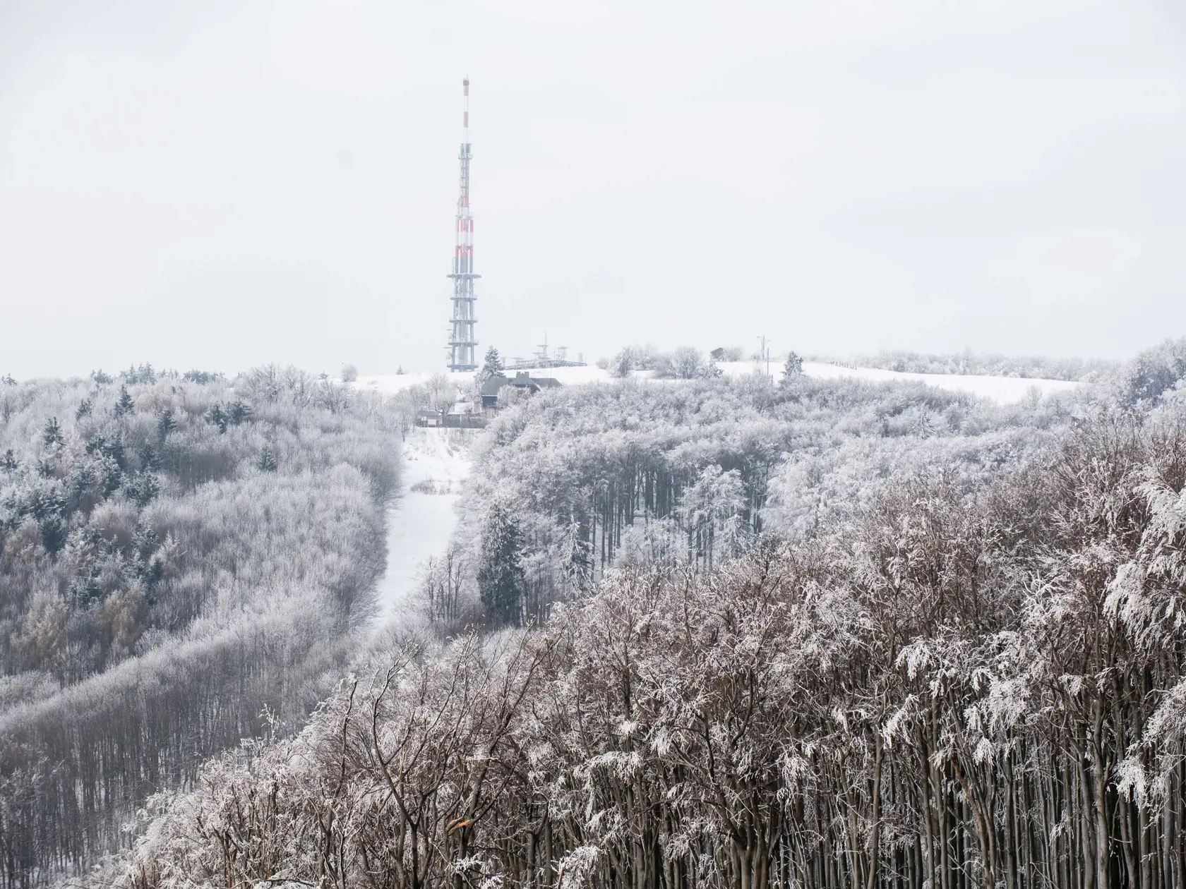Na snímke vysielač na vrchole Veľkej Javoriny (969 m n.m.), Holubyho chata a stromy obalené námrazou počas mrazivého dňa v Bielych Karpatoch v pondelok 17. februára 2025. FOTO TASR - Martin Medňanský