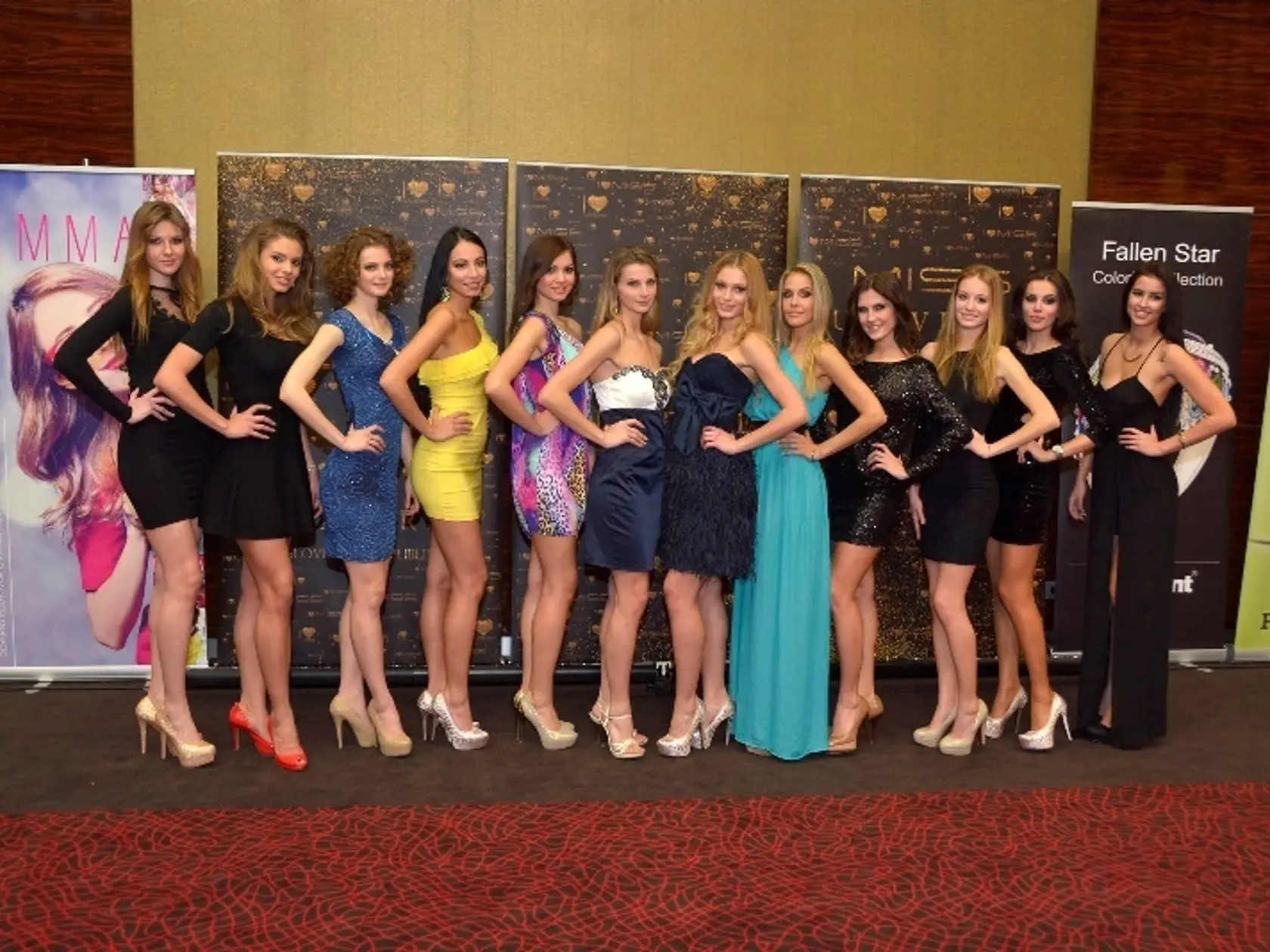 Prvá vicemiss Miss Universe SR za rok 2014 Dária Fabrici