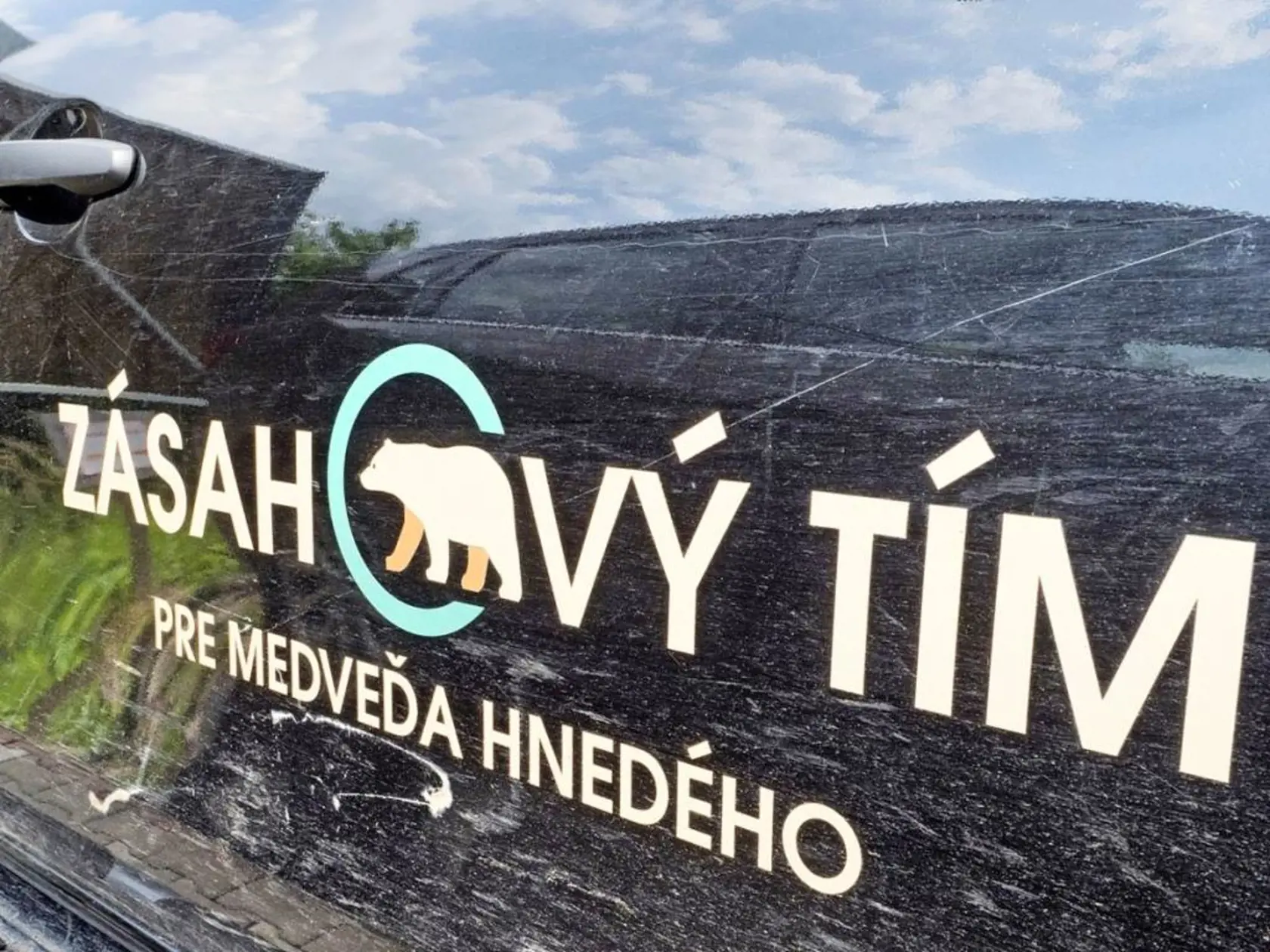 Zásahový tím: Kým medzi rokmi 2014 - 2023 bolo usmrtených 27 problémových medveďov, tento rok je to už takmer osemdesiat. 