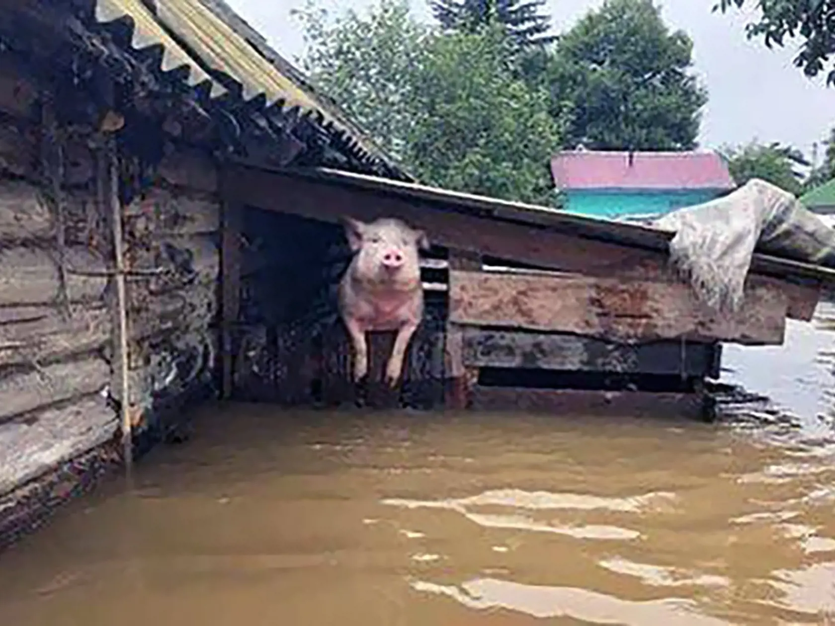 Situácia na zaplavenom území na Ukrajine je momentálne veľmi vážna. Podľa tamojších záchranárov, ktorí evakuujú obyvateľov zaplavených dedín in nenapomáha ani fakt, že sa v okolí pohybujú míny, ktoré boli na tomto území umiestnené pred časom. Míny ohrozujú životy obyvateľov a daná situácia je pre nich veľmi náročná.