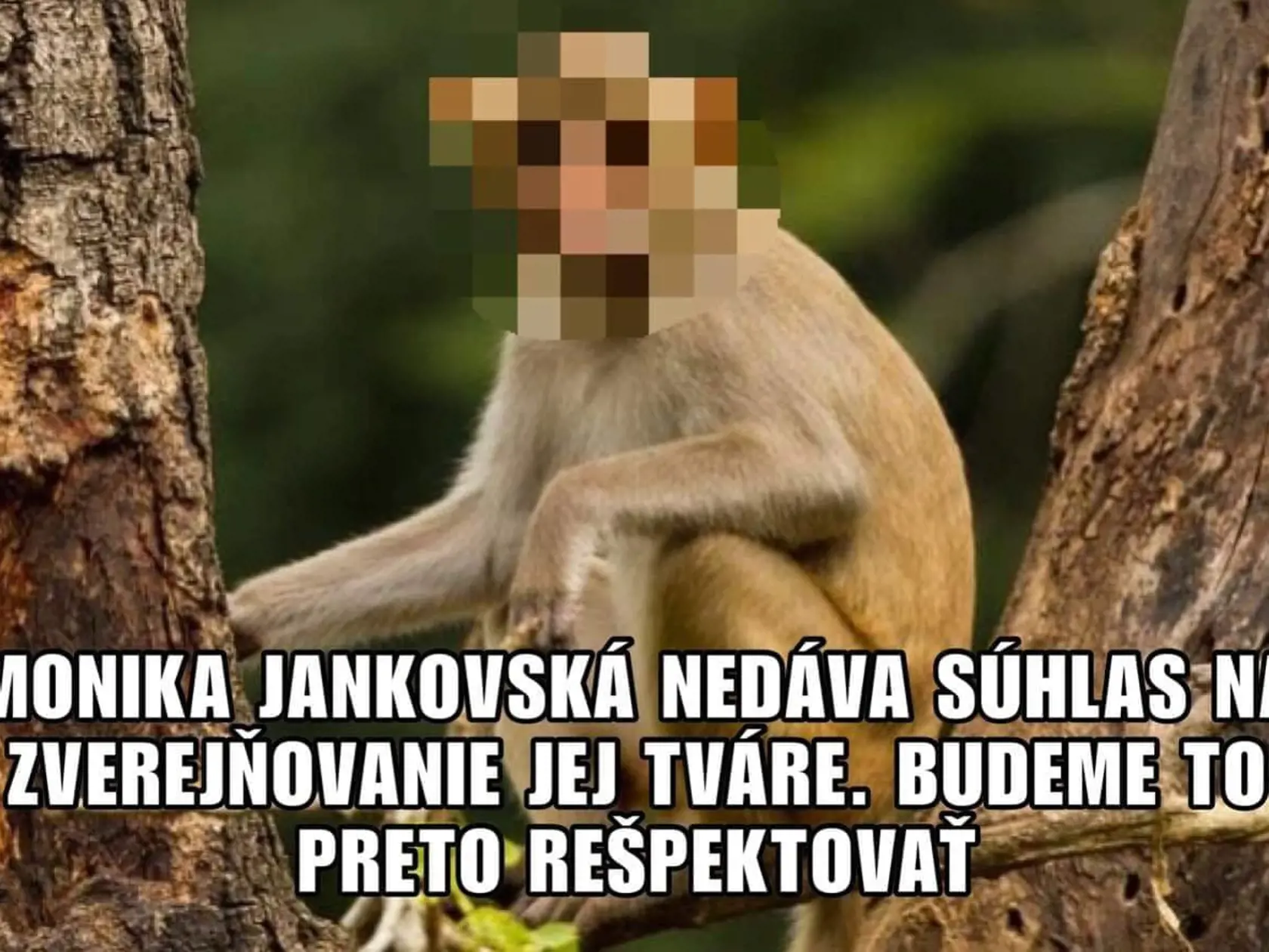 Keď bude Monika Jankovská opäť sudkyňa, nebude povolené uverejniť jej tvár. Niektorí "umelci" to poňali po svojom.