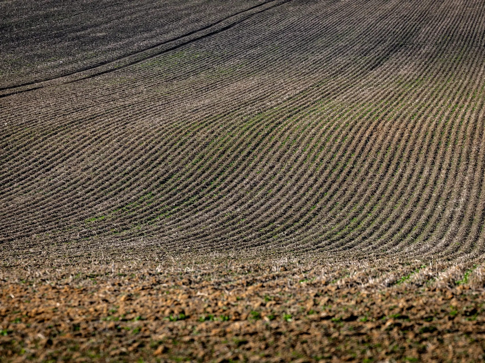 Spôsobilo to problémy farmárom a lesným hospodárom.