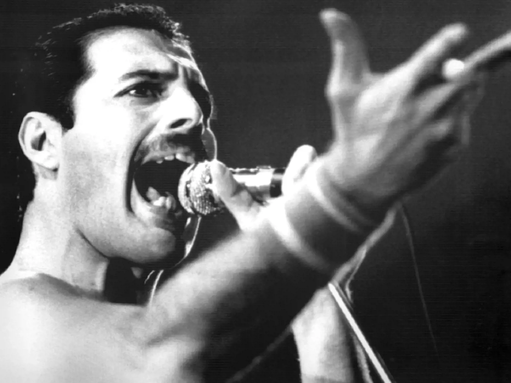 Hudba, ktorá v ňom zostala, už nikdy nezaznie, čo bola jedna z vecí, ktorá Freddieho mrzela najviac. "Mal v sebe toľko hudby!" Povedal Mercuryho priateľ Peter Freestone.