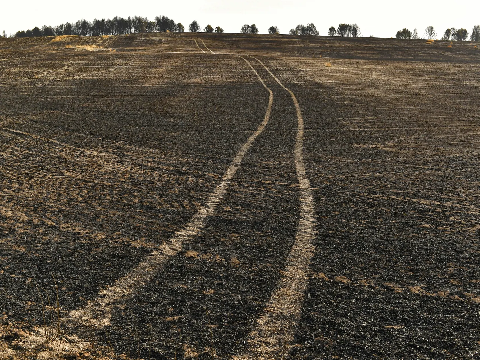 PK 18 Miranda de Arga - Na snímke pohľad na krajinu po lesnom požiari neďaleko obce Miranda de Arga, 40 kilometrov od Pamplony na severe Španielska, 16. júna 2022. Španielsky meteorologický úrad uviedol, že teplý vzduch zo severnej Afriky priniesol prvú vlnu horúčav v tomto roku.