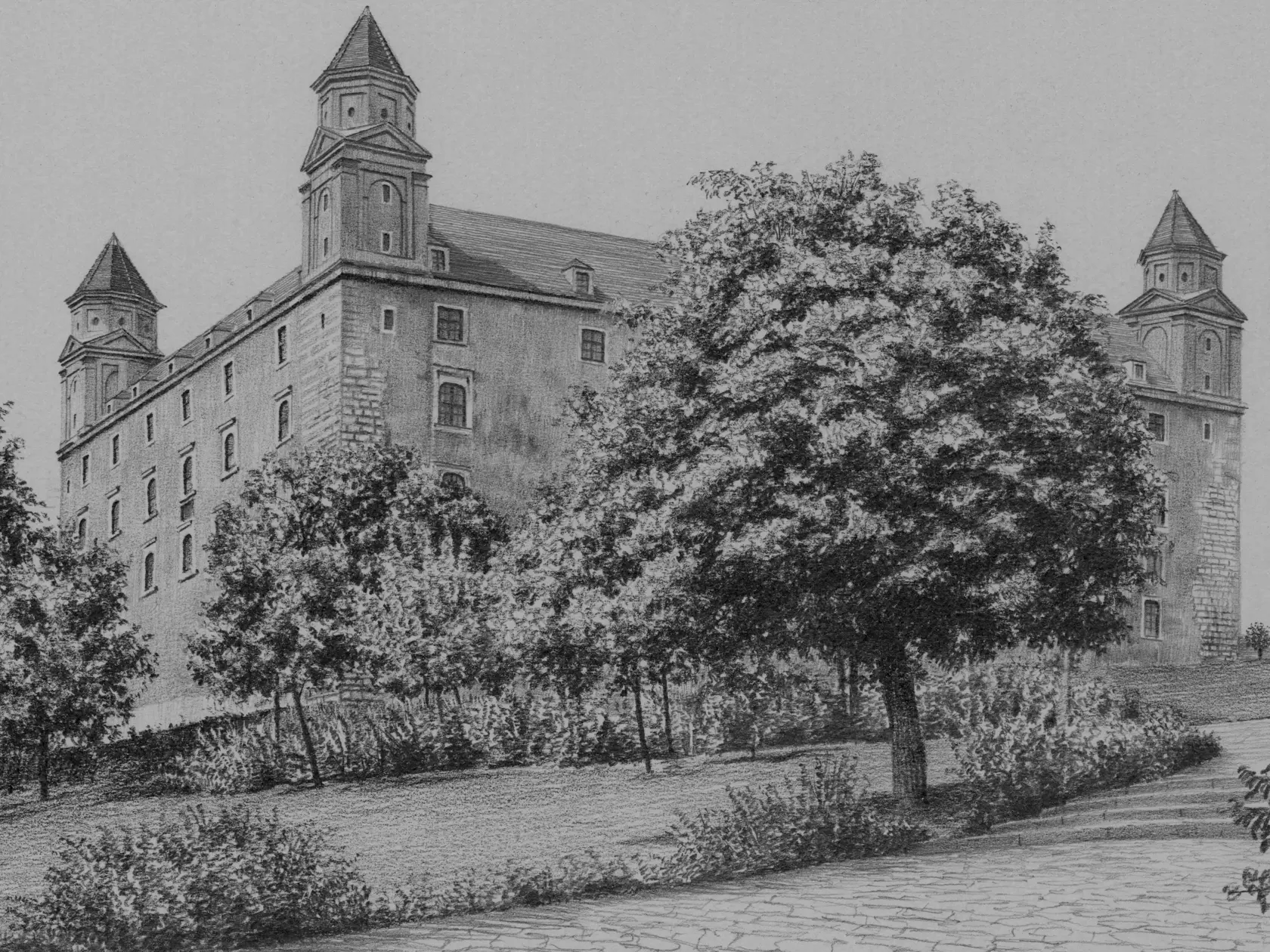 Bratislavský hrad. Neuveriteľné prepracovaný je aj strom v popredí.
