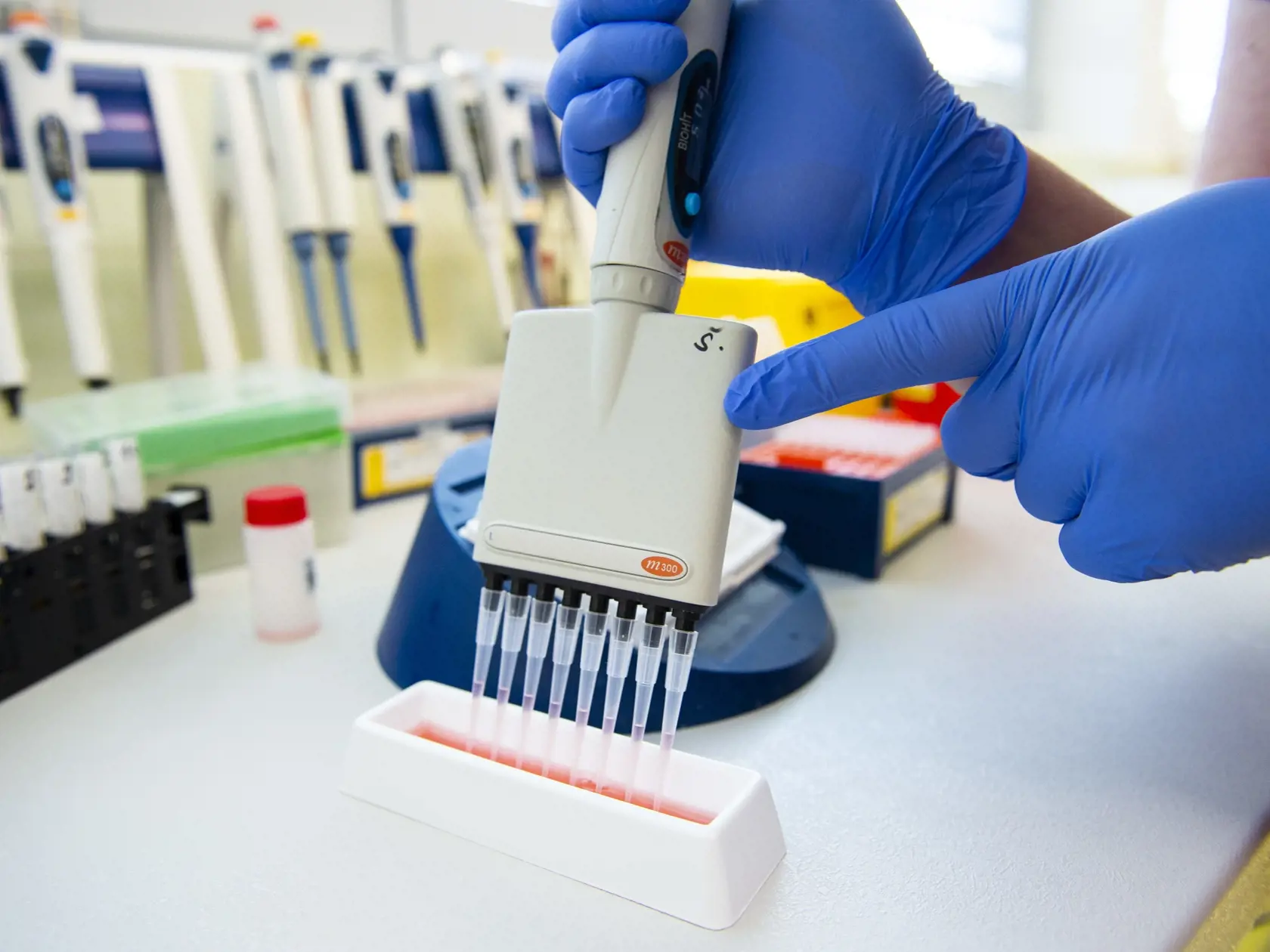 Spoločnosť Alpha medical testuje sérum z odobratej krvi pacienta. Odber je realizovaný ambulantne a ide o krv zo žily, nie kapilárnu krv z prsta (ako pri rýchlotestoch). Test prebieha v laboratóriu na platničke, ktorá je potiahnutá požadovaným vírusovým proteínom – antigénom. Vzorky pacientov sa potom s antigénom inkubujú a ak má pacient protilátky proti vírusovému antigénu, viažu sa spolu. Naviazaný komplex protilátka-antigén sa potom môže detegovať ďalším premytím protilátok, ktoré vytvárajú f