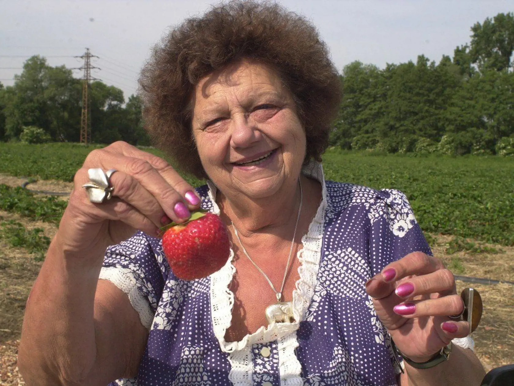 Helena Růžičková
