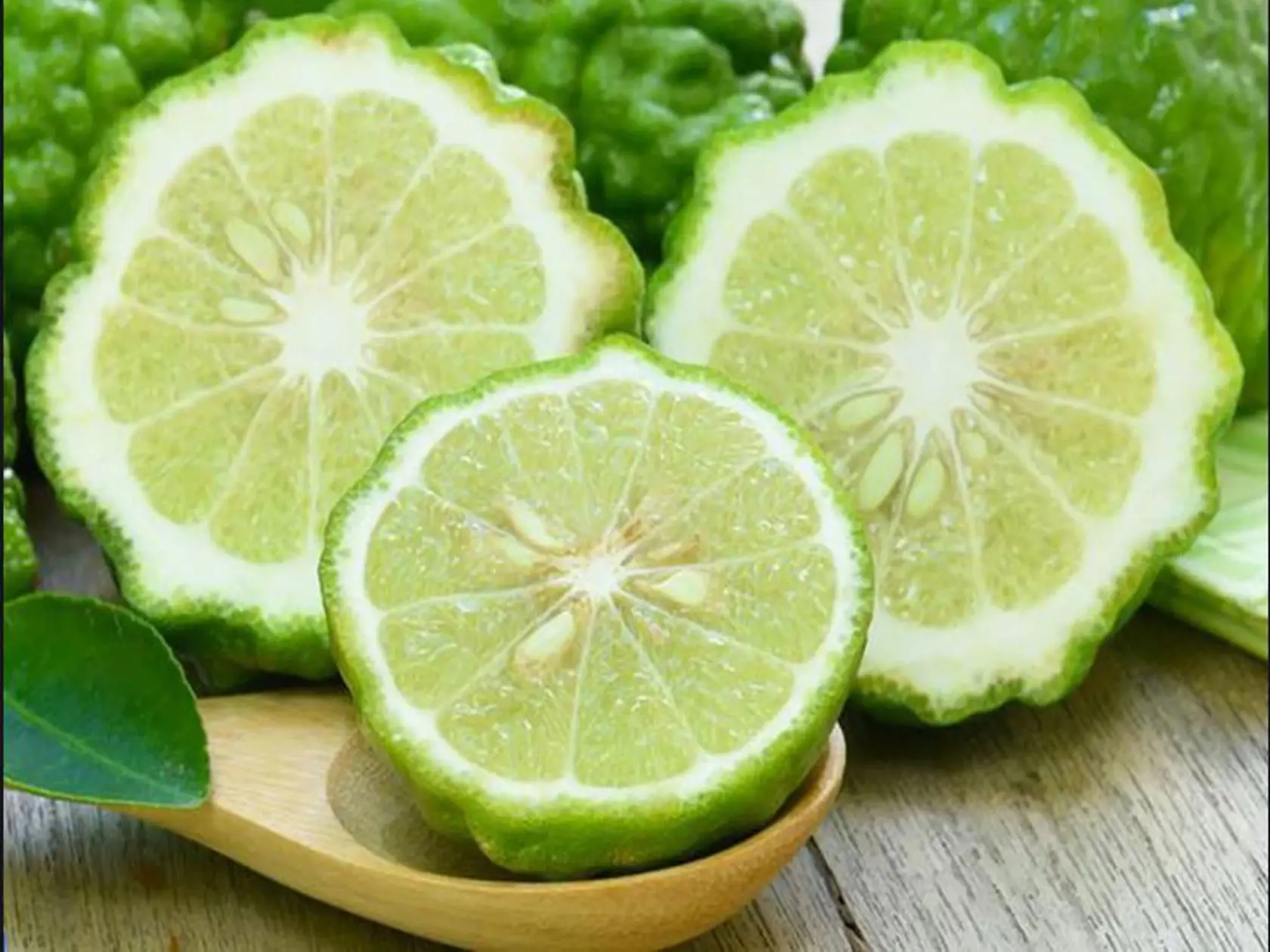 Bergamot