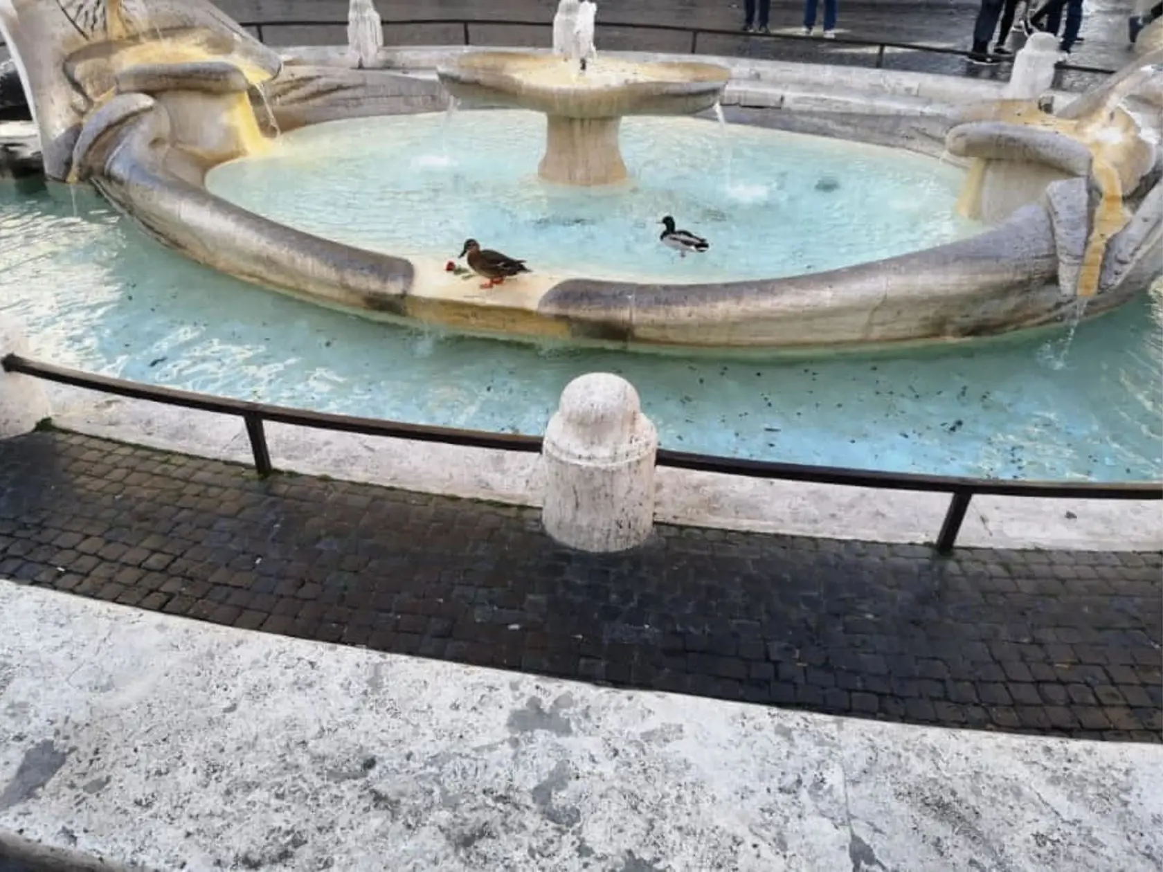 Turisti nikde, tak fontány v Ríme obsadili kačky.