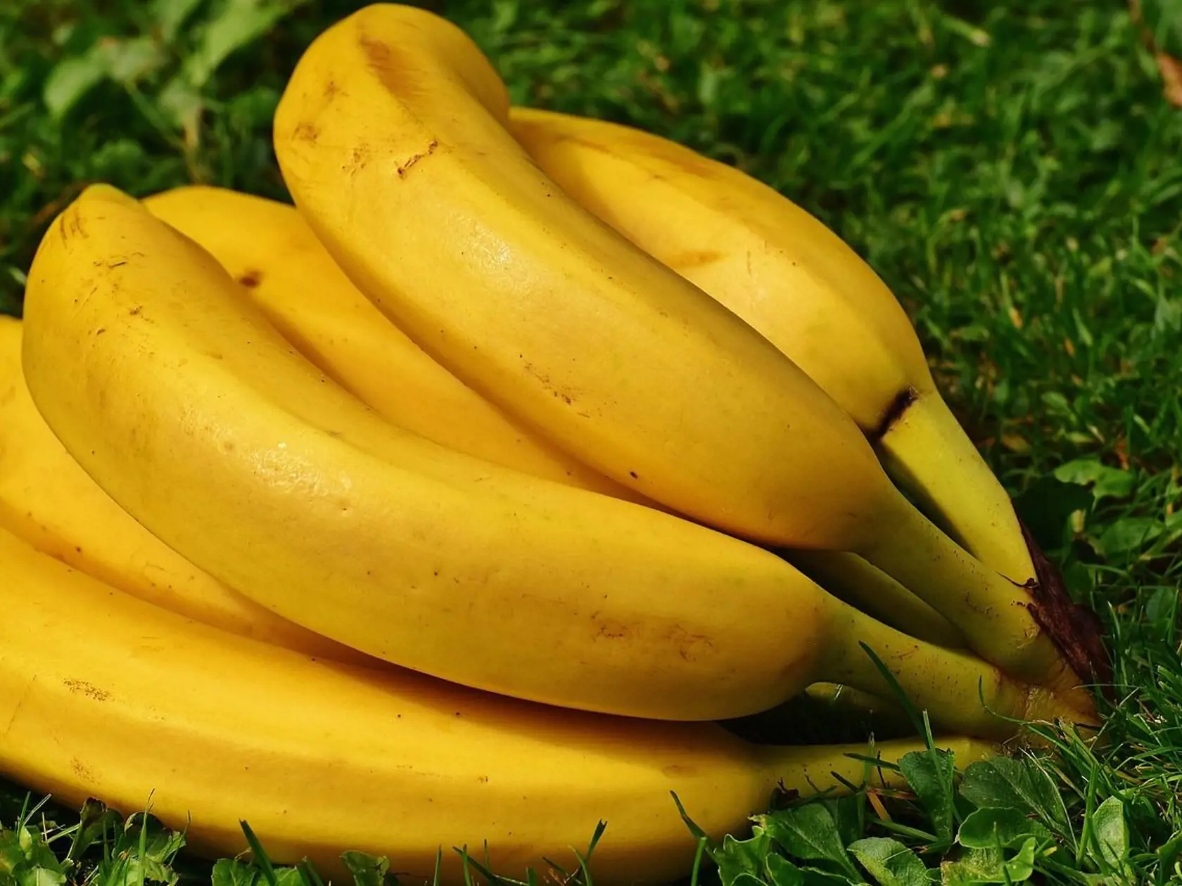 Vhodné ingrediencie pre domácu pleťovú masku určite nájdete.