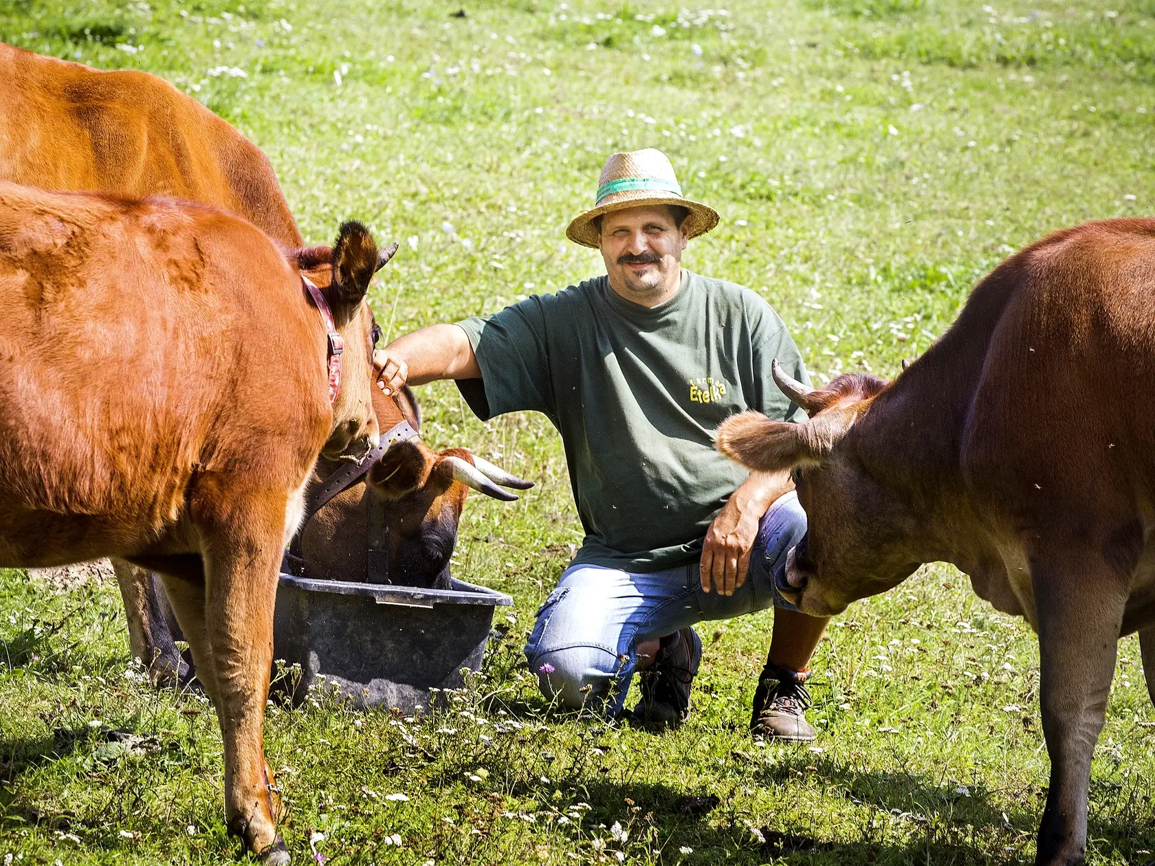 Martin Bagar je známy farmár z reality šou a aj on sa bojí nákazy v svojom stáde. 
