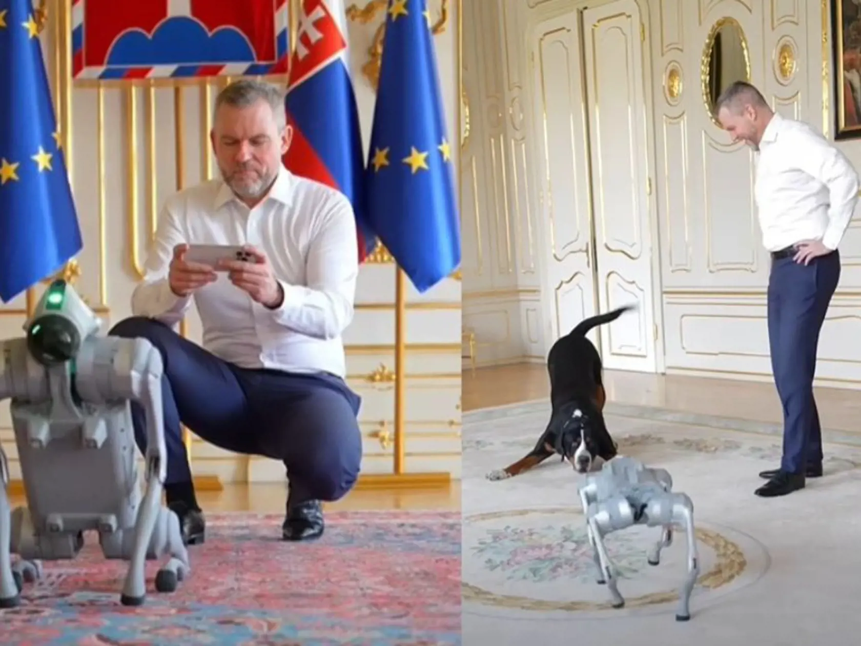 Prezident Peter Pellegrini v Prezidentskom paláci privítal špeciálnu návštevu - robotického psa. Jeho chpláč Gery bol k novému kamošovi značne nedôverčivý... 