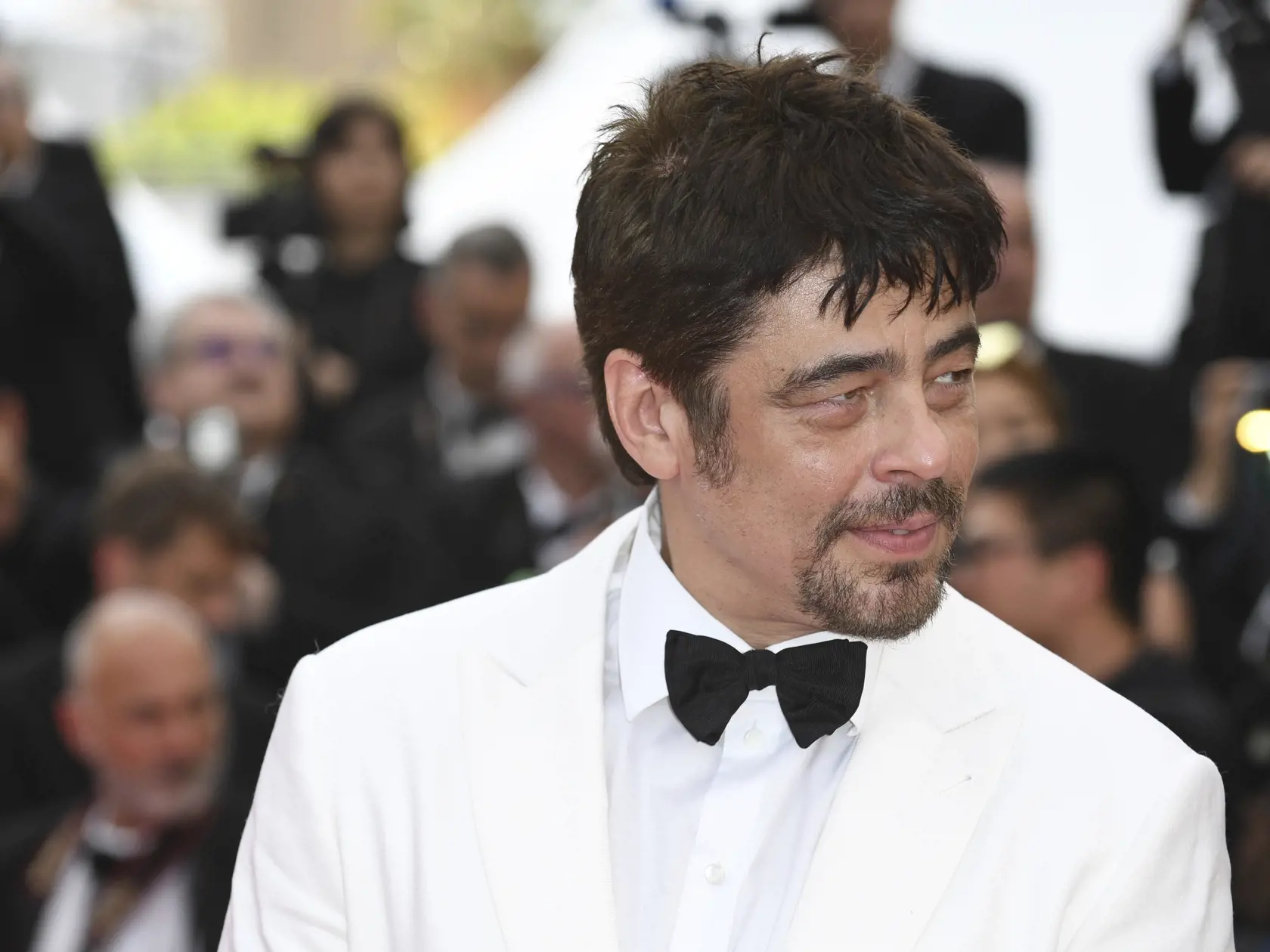 Del Toro Benicio
