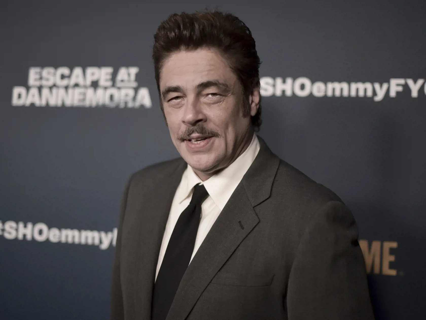 Benicio del Toro