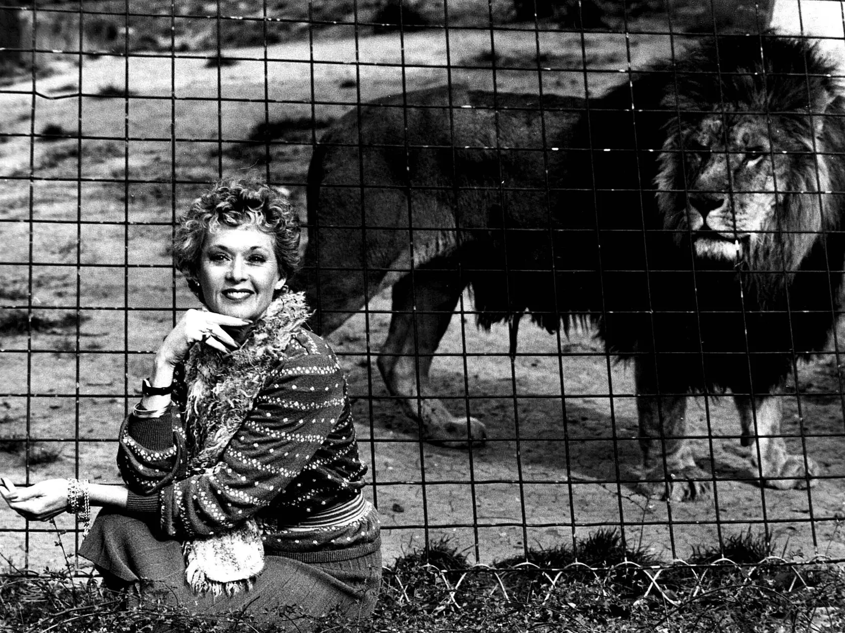 Tippi s levom z londýnskej ZOO (1966)