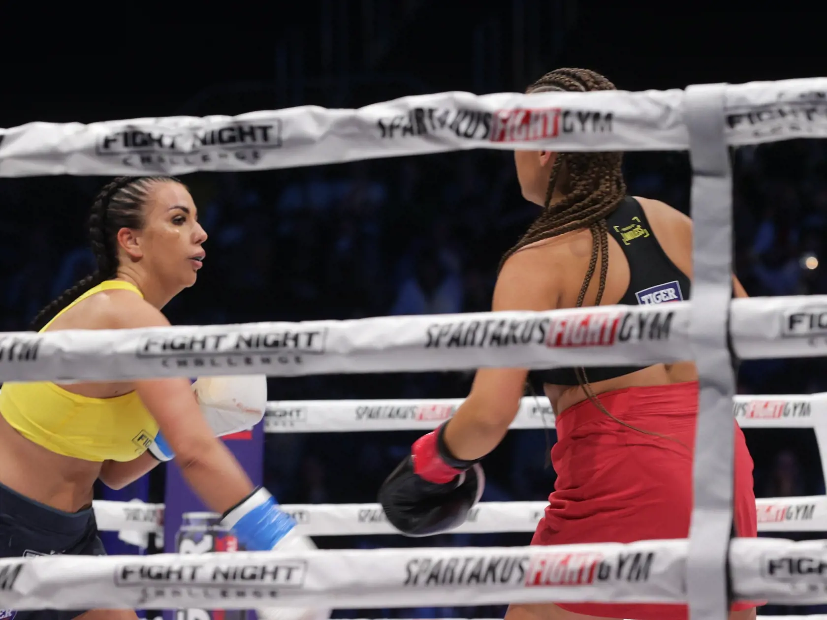 Lenka Tejbusová sa v ringu Fight Night Challenge pobila s ,,Kollárovou" Pimpinočkou. Pimpa vyhrala.