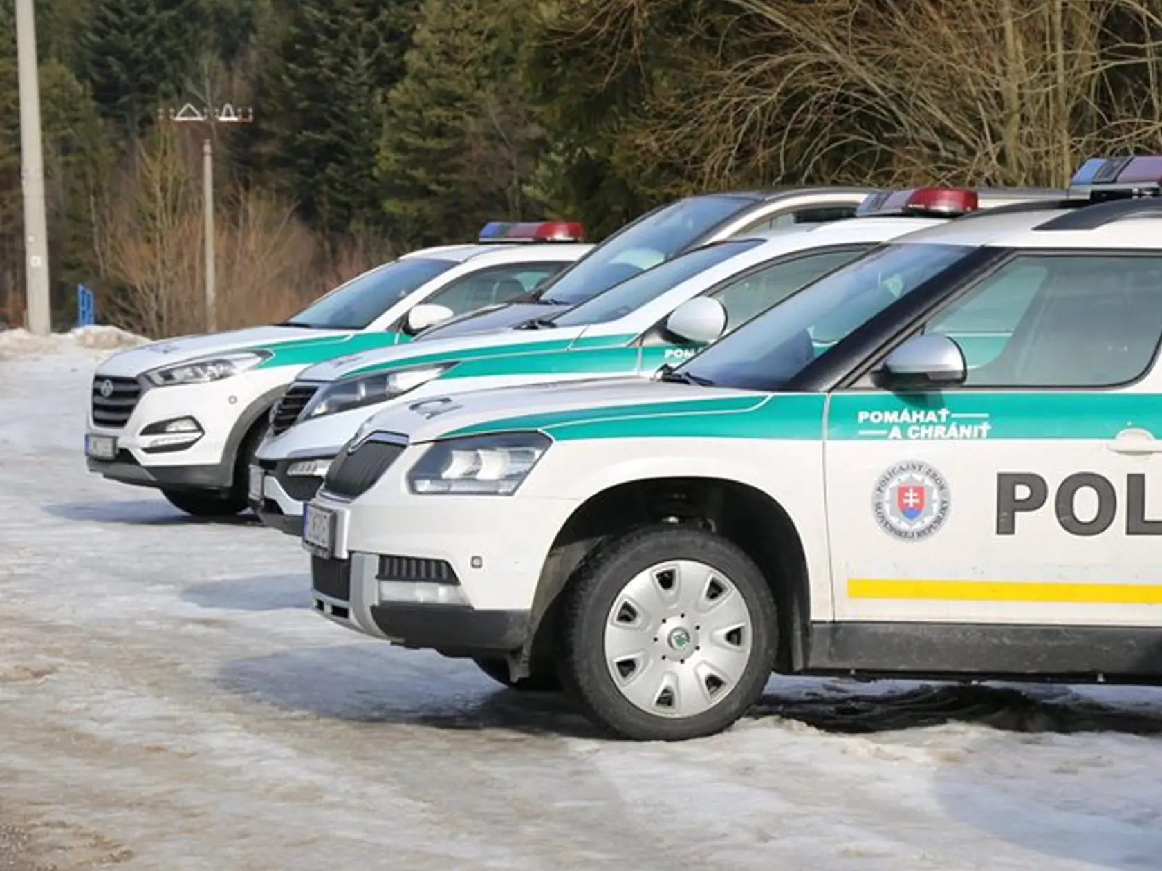 Polícia Slovenskej republiky