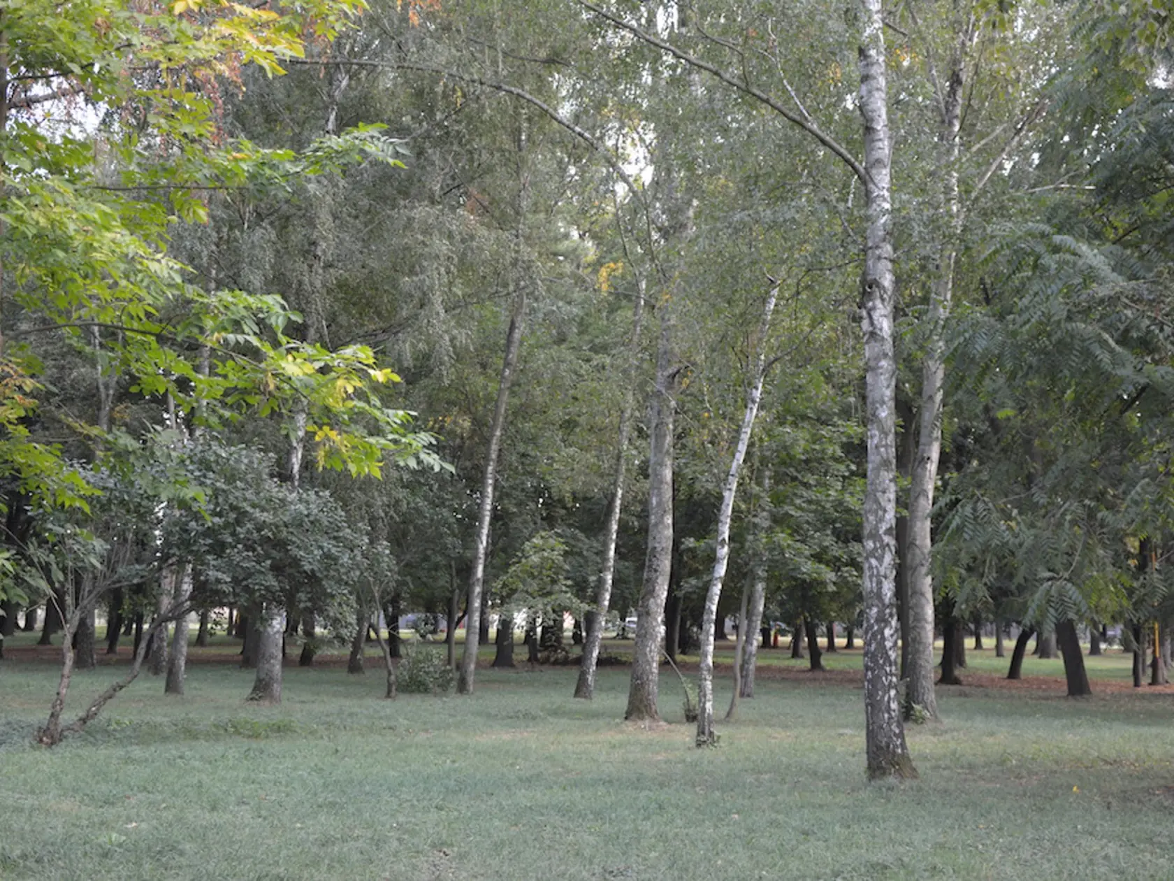 Park.