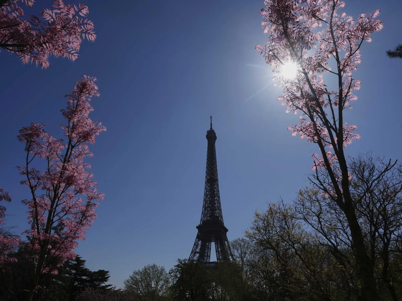 KK17 Paríž - Rozkvitnuté kvety a stromy neďaleko Eiffelovej veže počas jarného dňa v Paríží 7. apríla 2025. FOTO TASR/AP
The Eiffel Tower rises from behind blossoming flowers and trees on a Spring day, in Paris, France, Monday, April 7, 2025. (AP Photo/Thibault Camus)