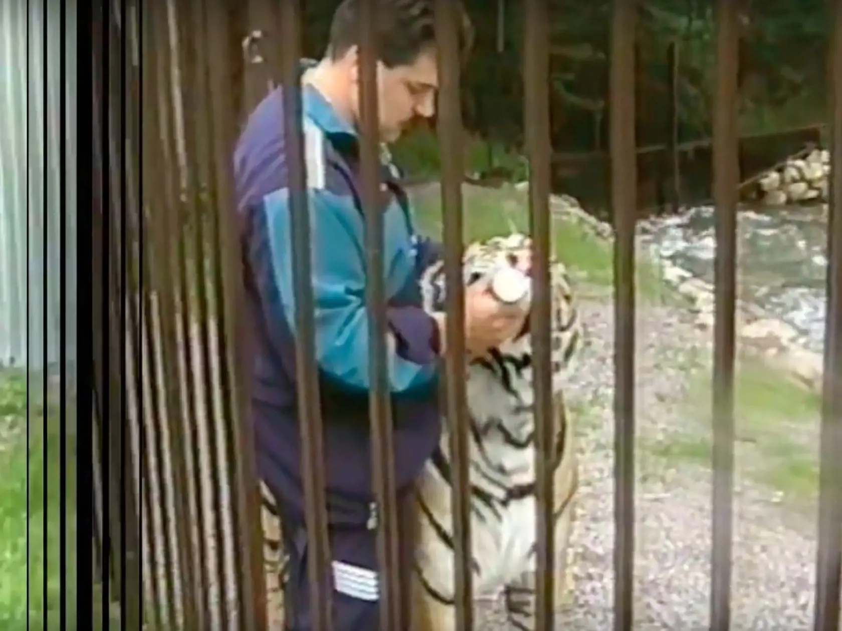 Mikuláš Černák a jeho tigre. Choval ich v čase, keď páchal svoje nejzávažnejšie zločiny. 
