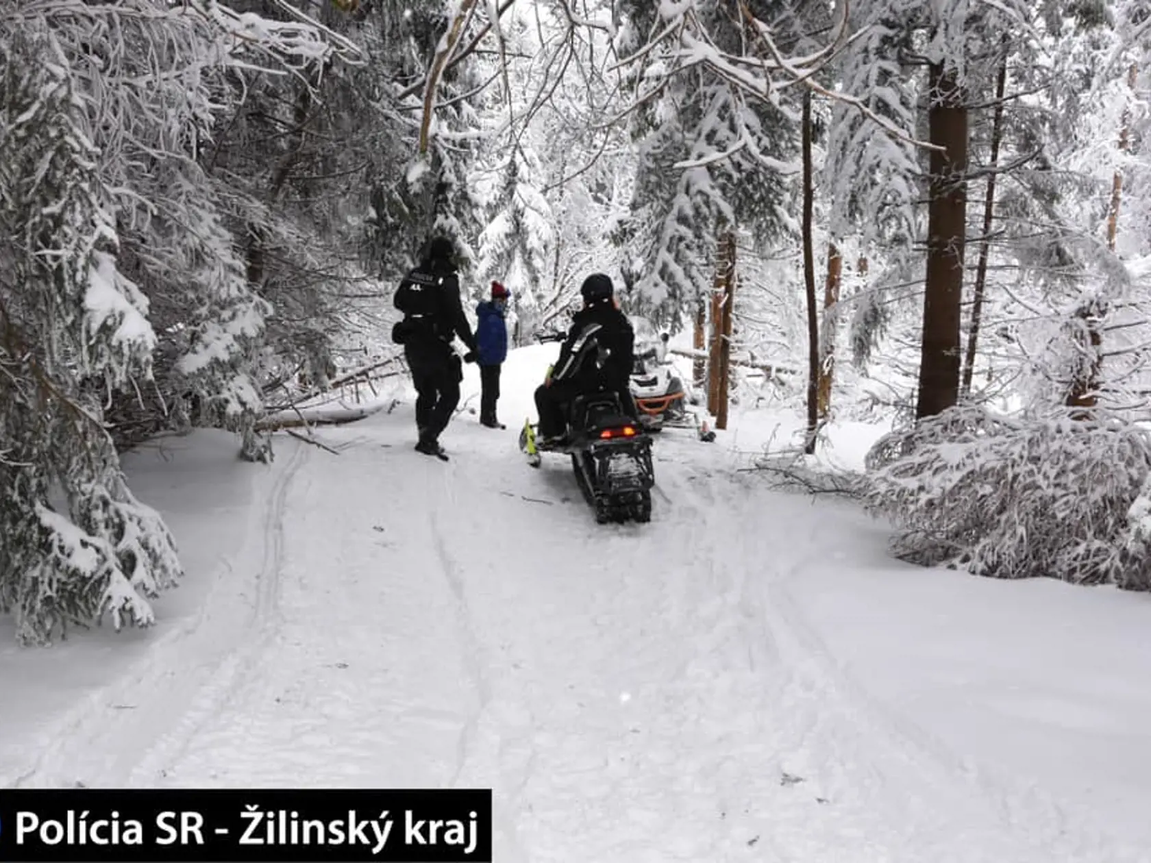 Na území Chránenej krajinnej oblasti Horná Orava dnes polícia zadržala dvoch Poliakov, ktorí sa tam premávali na snežných skútroch.