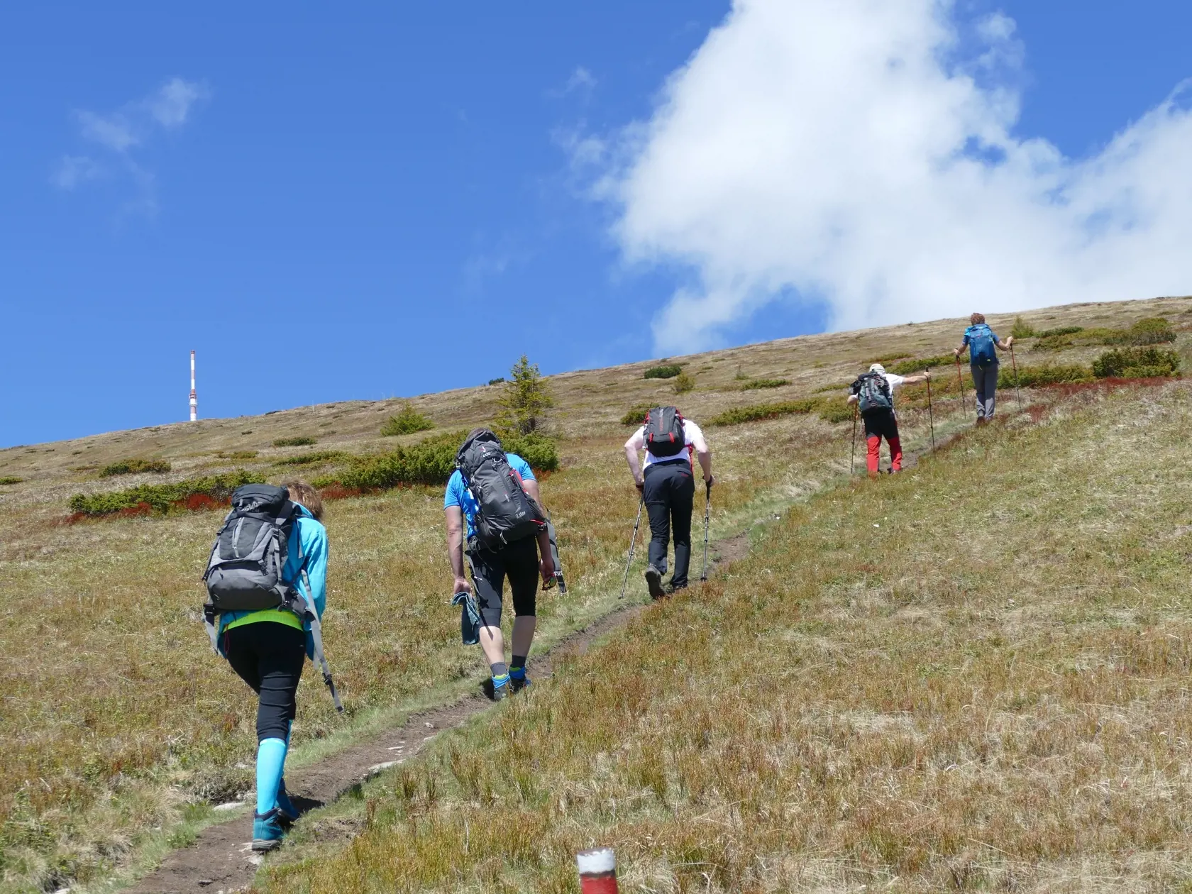 Na snímke turisti  počas výstupu na Kráľovu hoľu v sobotu 6. júna 2020.
