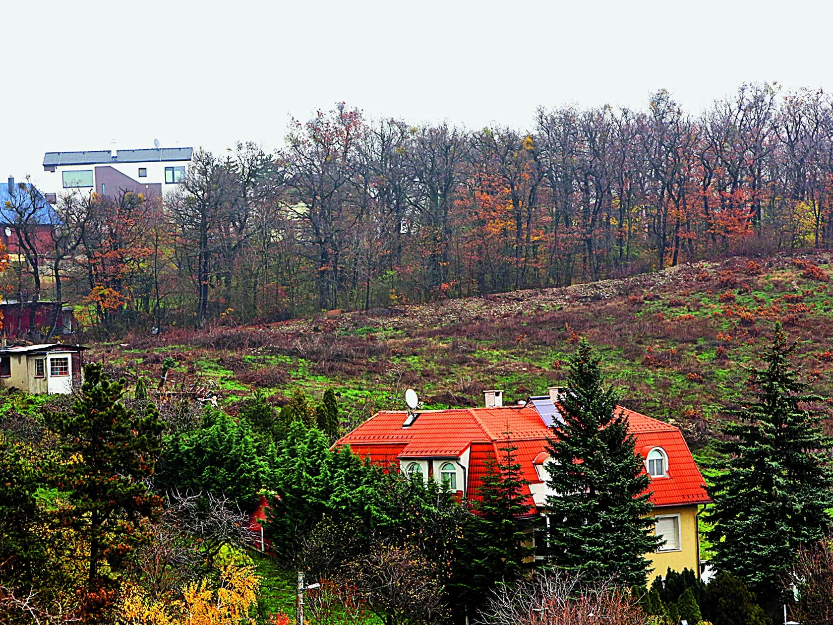 Vyrúbané lesy.
Bratislava, výrub lesov bez povolenia.
Koliba, Bôrik.