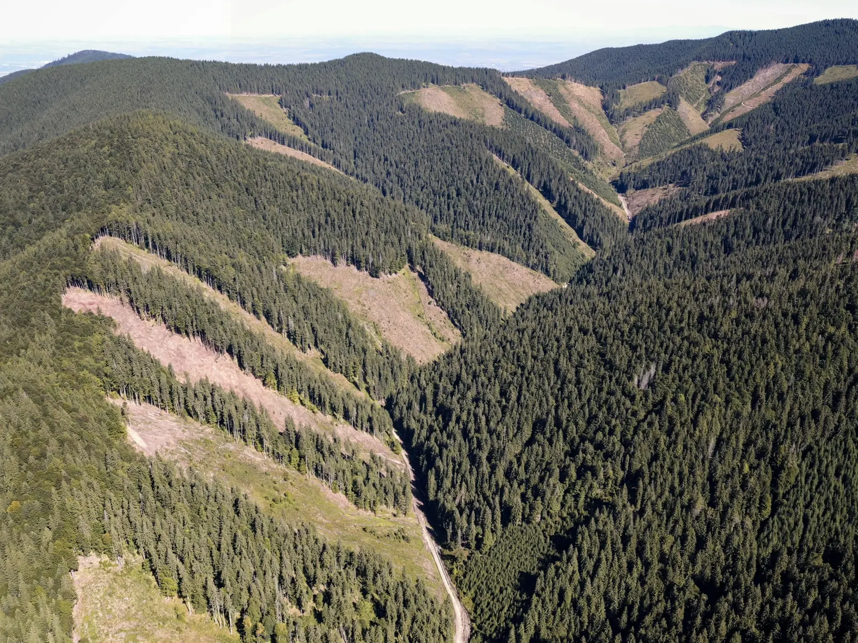 Na archívnej leteckej snímke z 9. septembra 2021 je vidieť odlesňovanie veľkej plochy lesa a narušenie biotopu v lokalitách Natura 2000 v údolí Barsa v pohorí Fagaras v západnom Rumunsku.