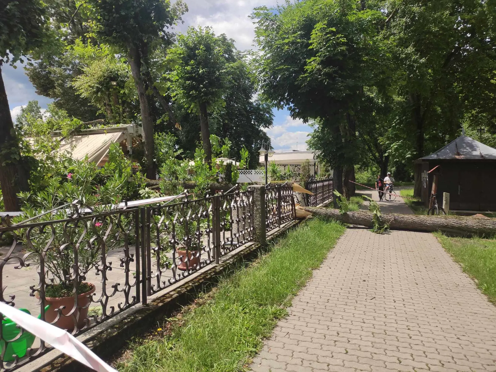 Keďže cez park prejdú denne desiatky ľudí, udalosť, ku ktorej došlo v stredu (28.6.) v obedných hodinách, mohla mať fatálne následky.