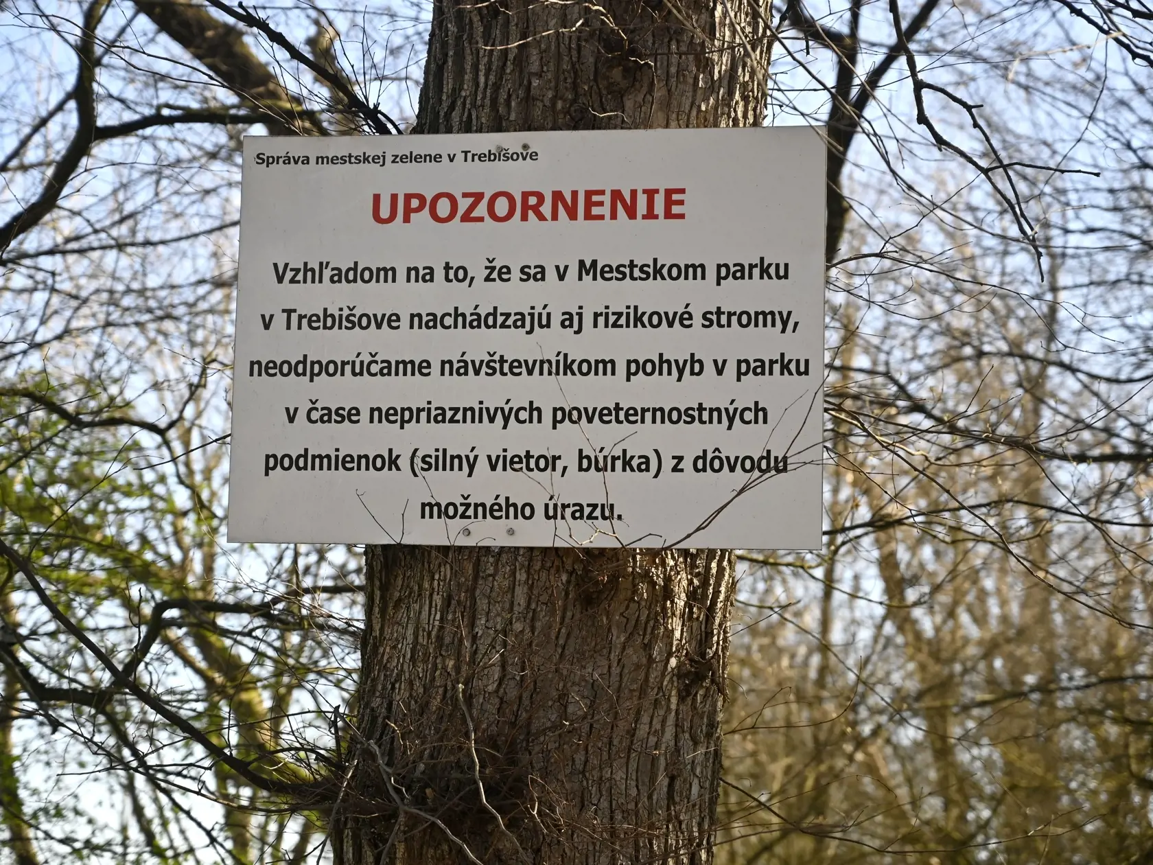 Na snímke tabuľa s upozornením na nebezpečenstvo pohybu v čase nepriazniváych podmienok v mestskom parku v Trebišove 29. marca 2023. FOTO TASR - Roman Hanc