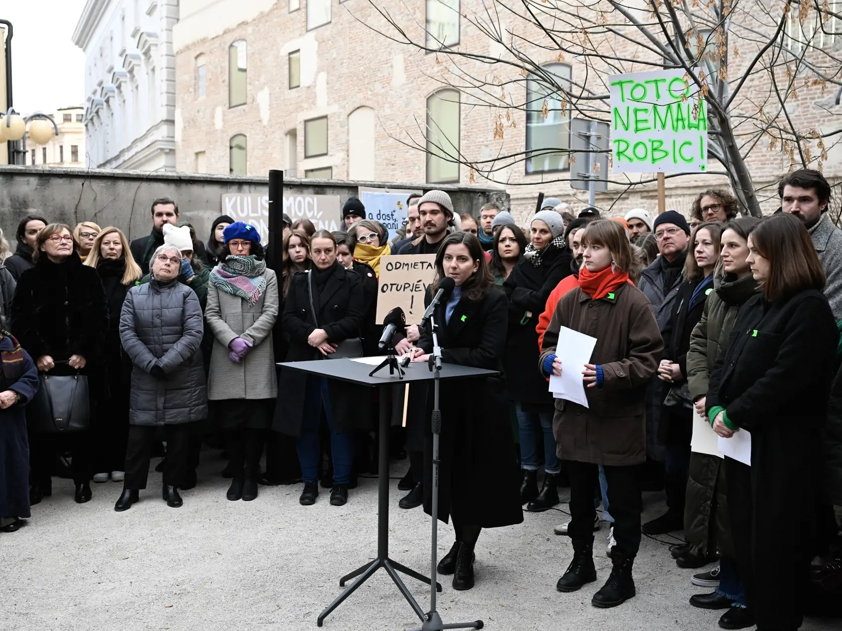 Na snímke pri mikrofóne jedna z iniciátoriek výzvy Klára Hudáková pri prejave počas tlačovej konferencie Slovenskej národnej galérie (SNG) k Výzve na ochranu SNG 21. novembra 2024 v Bratislave. FOTO TASR - Pavel Neubauer

 