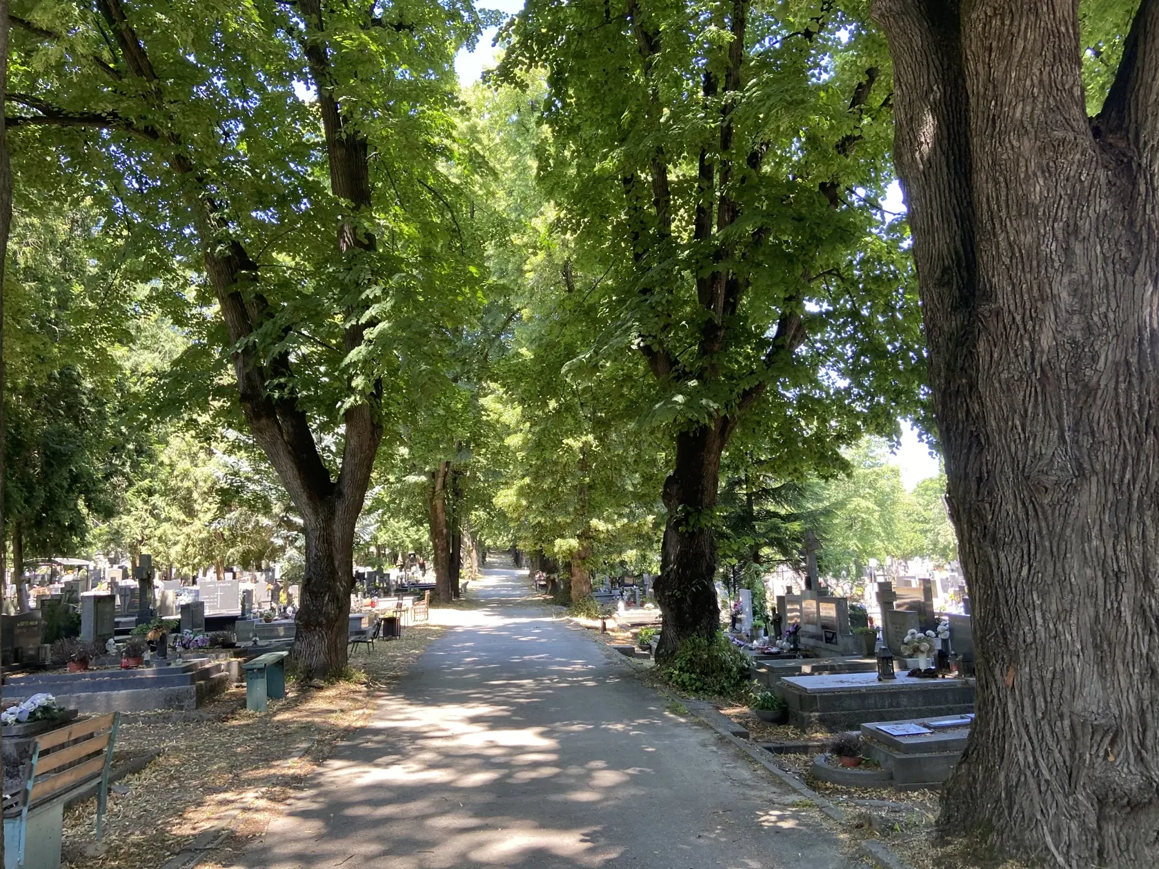 Verejný cintorín v Košiciach si vybrali Potokárovci za miesto posledného odpočinku svojej jedinej dcéry.