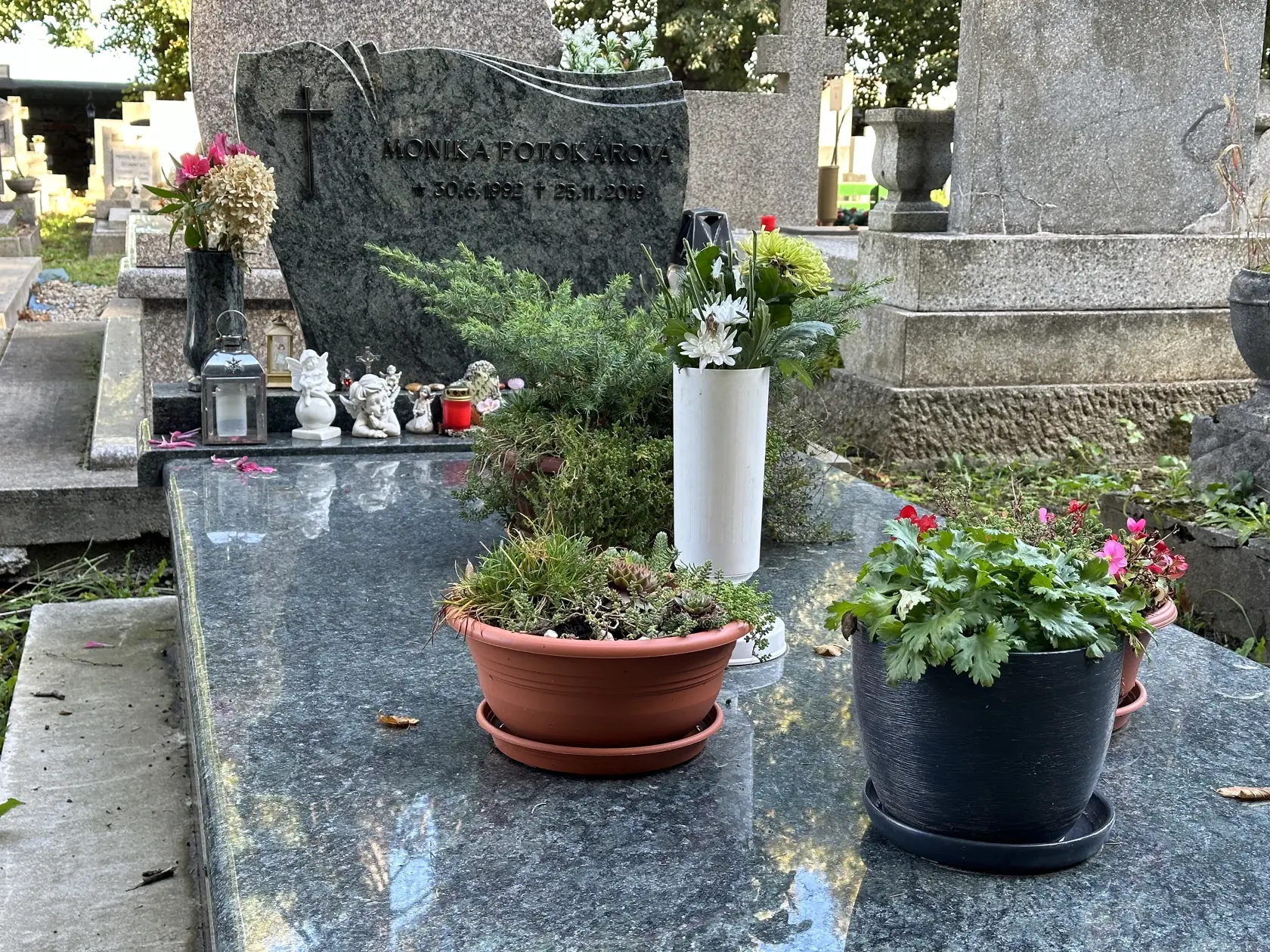 Z kvetináčov sa borili zoschnuté halúzky.
