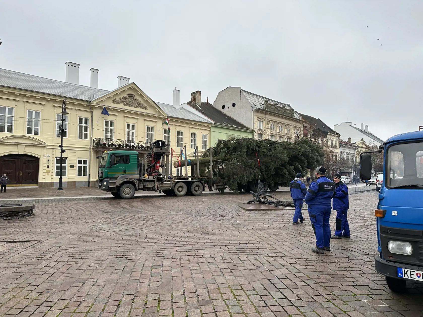 „Košické mestské lesy každý rok zabezpečujú strom na Hlavnú ulicu. Prednostne využívame ponuky súkromných vlastníkov,“ upresnil František Beli, riaditeľ mestských lesov.