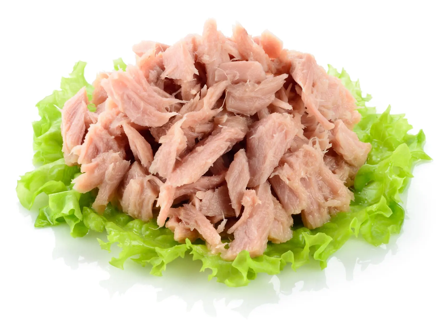 Ohlásila sa vám nečakaná návšteva a vy neviete, čo jej ponúknuť? Zachráni vás obyčajná konzerva s tuniakom.