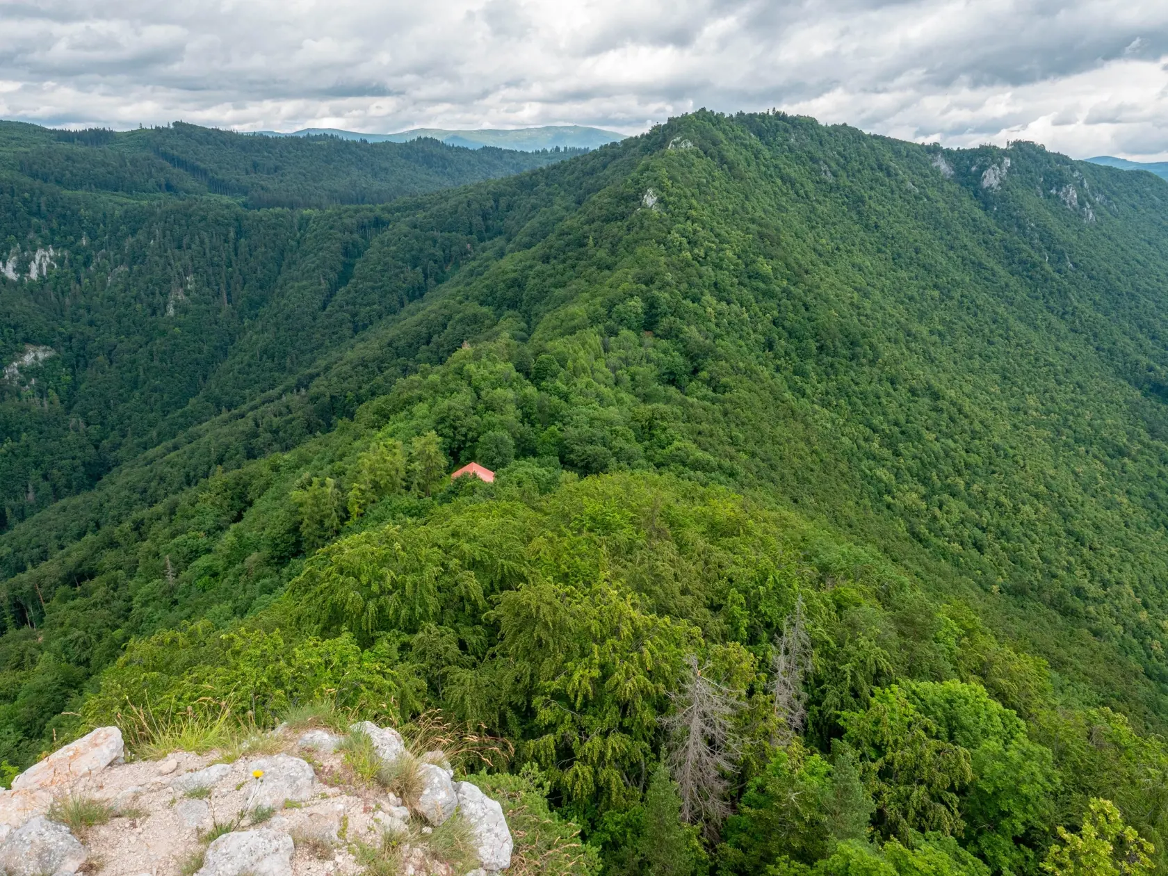 Muranská planina