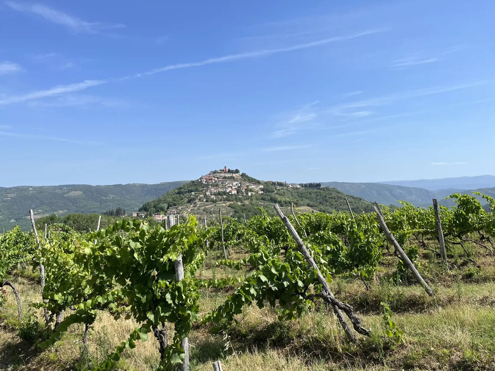 Pohľad na Motovun.