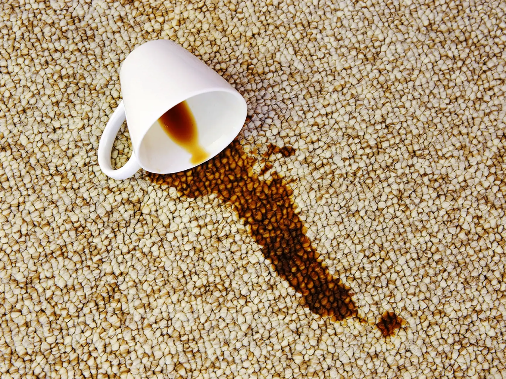 Cup of coffee fell on carpet. Stain is on floor.