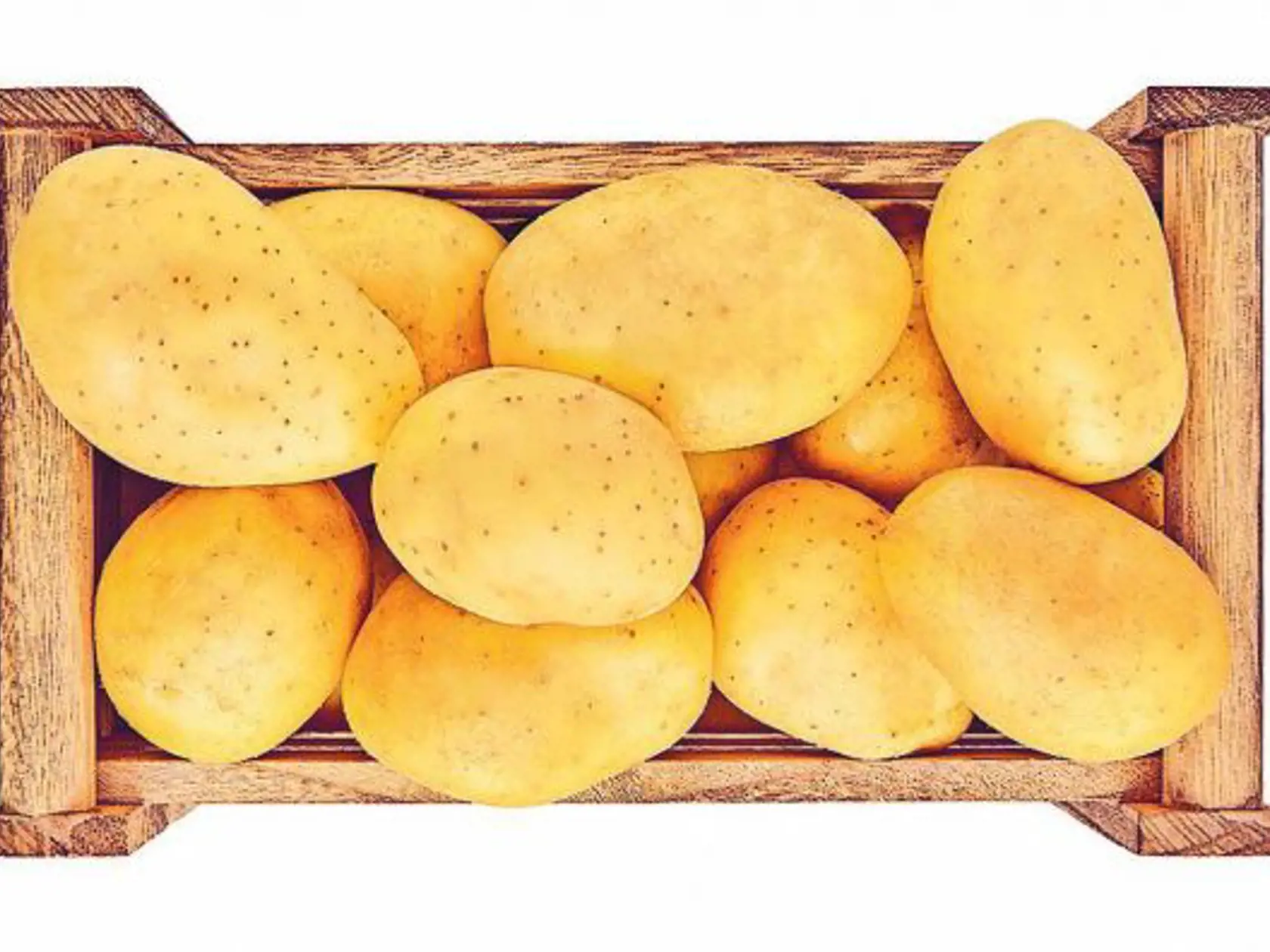 Zemiaky konzumné skoré, 2,5 kg, cena za balenie 2,29 eura.