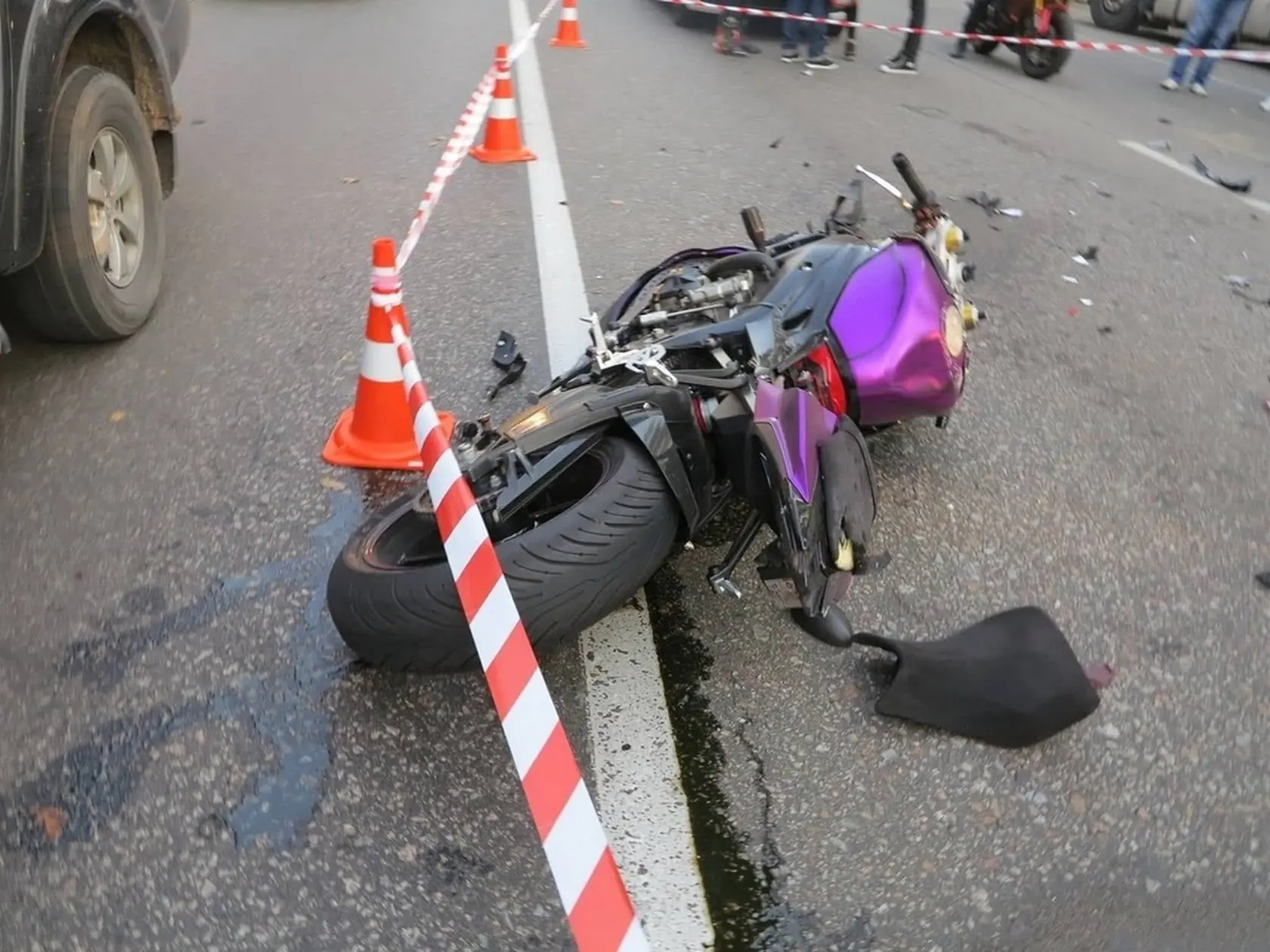Elena zrážku s osobným autom neprežila.